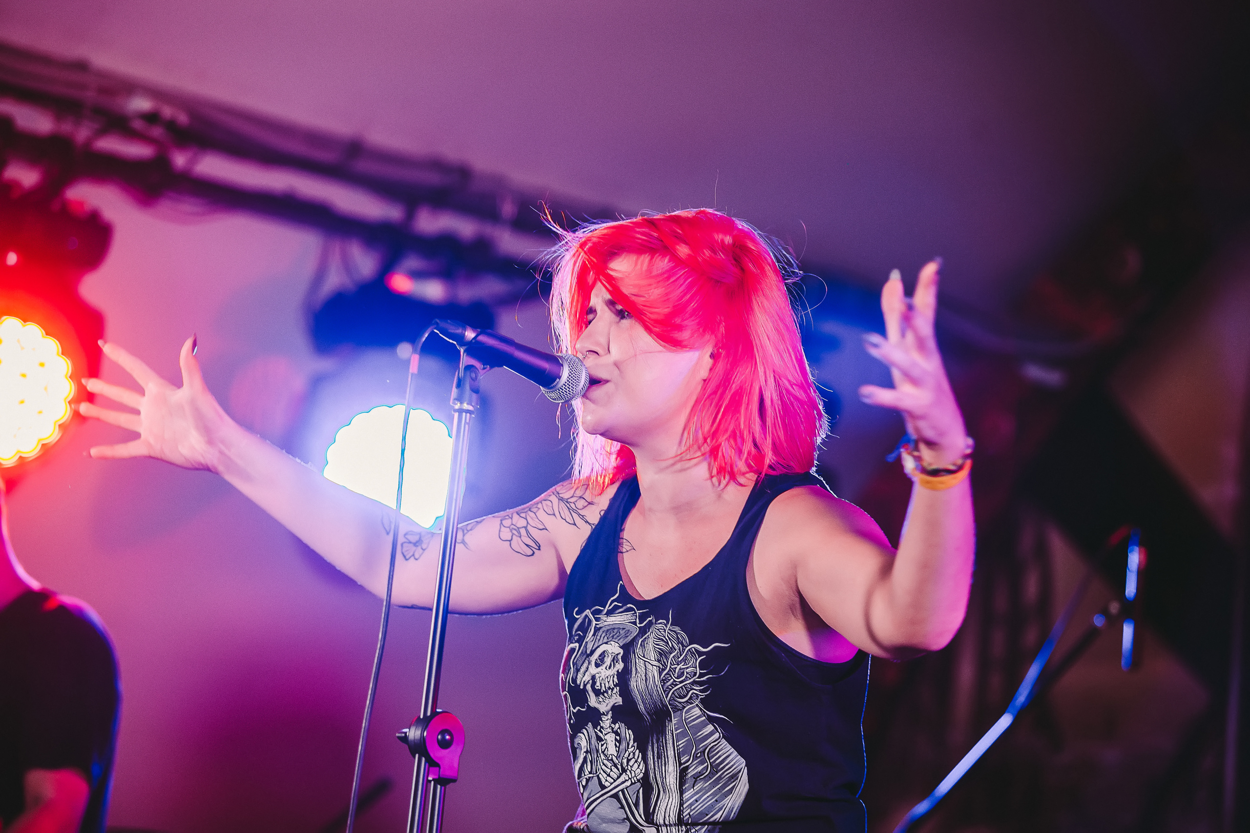 Группа SELLOUT на фестивале PUNKRUPOR. Photographer Sonkina Tatiana (Tanya Ash)