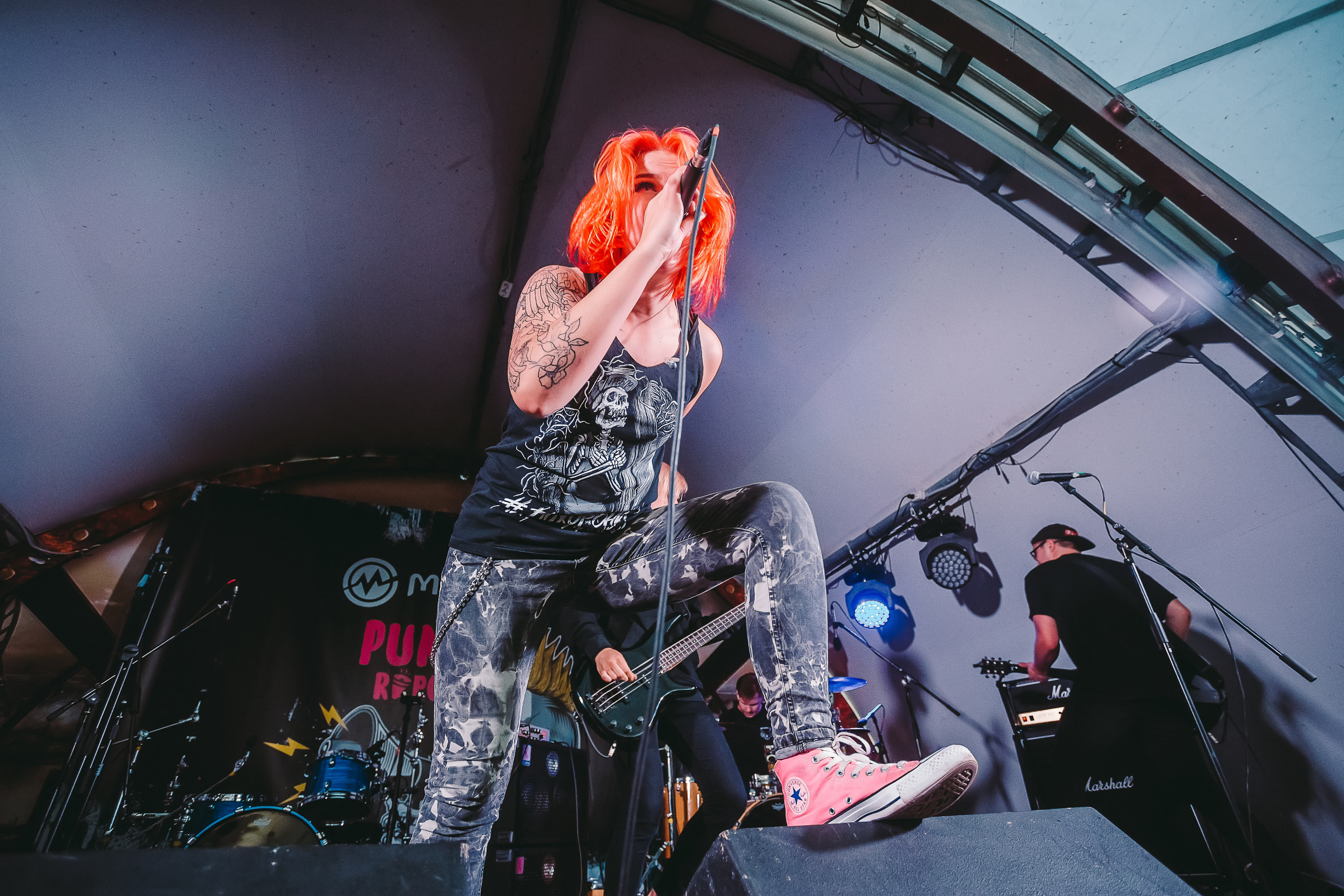 Группа SELLOUT на фестивале PUNKRUPOR. Photographer Sonkina Tatiana (Tanya Ash)