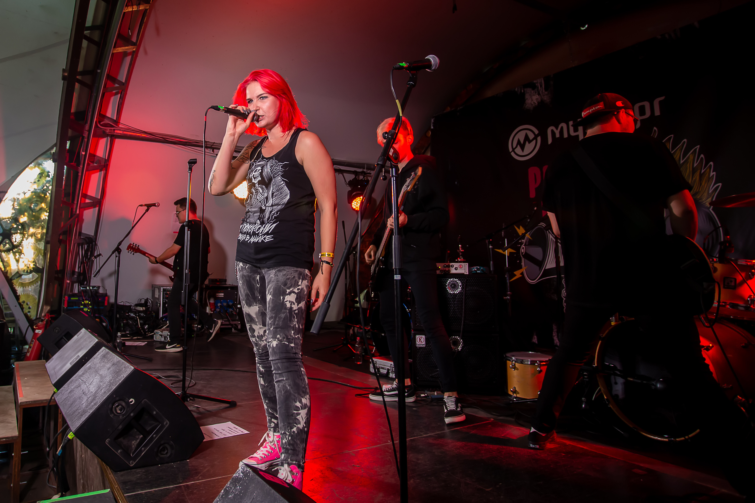 Группа SELLOUT на фестивале PUNKRUPOR. Photographer Sonkina Tatiana (Tanya Ash)