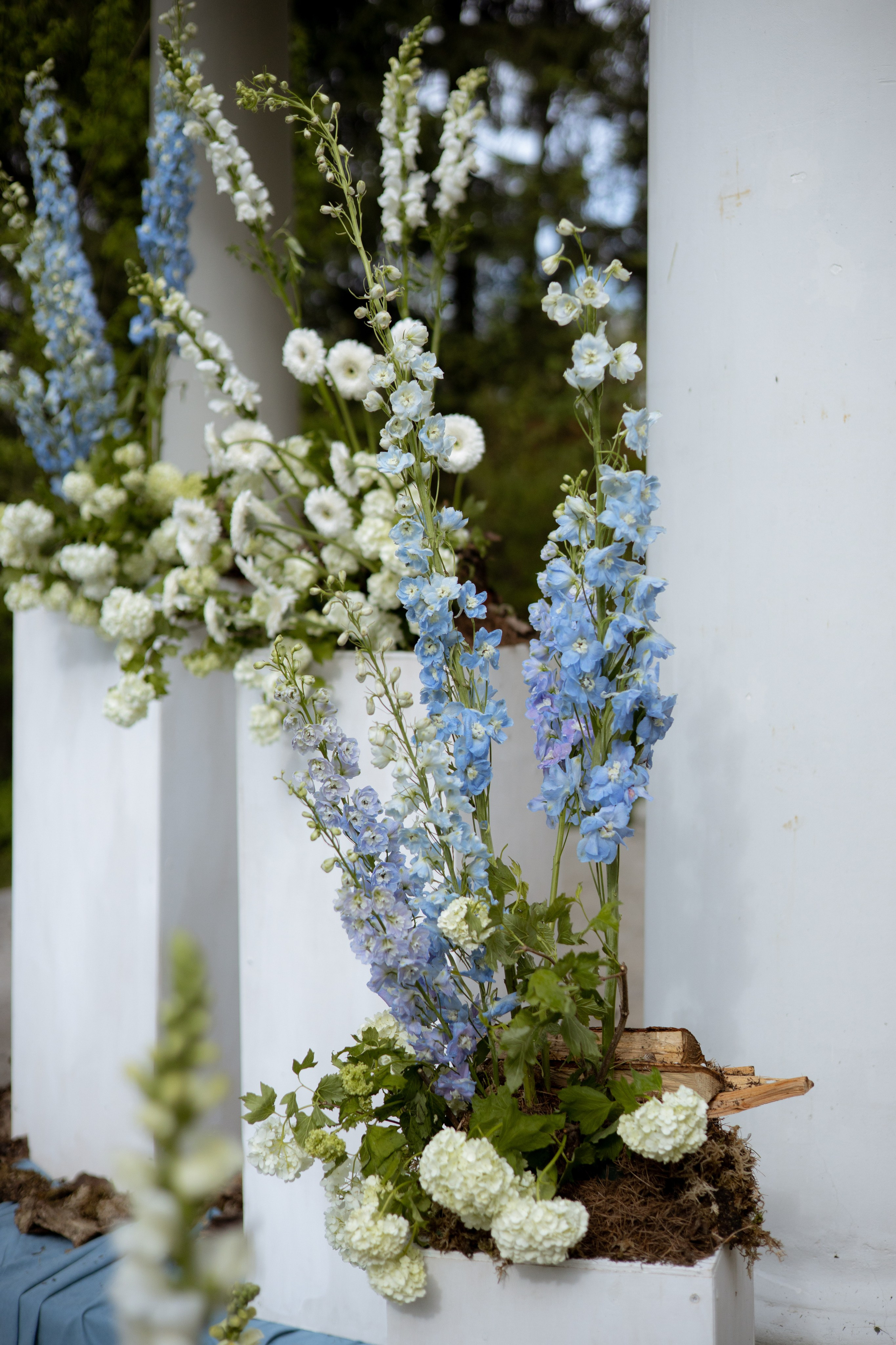 Анастасия & Никита. Оформление свадеб, декор свадеб Вера Маркова, Москва