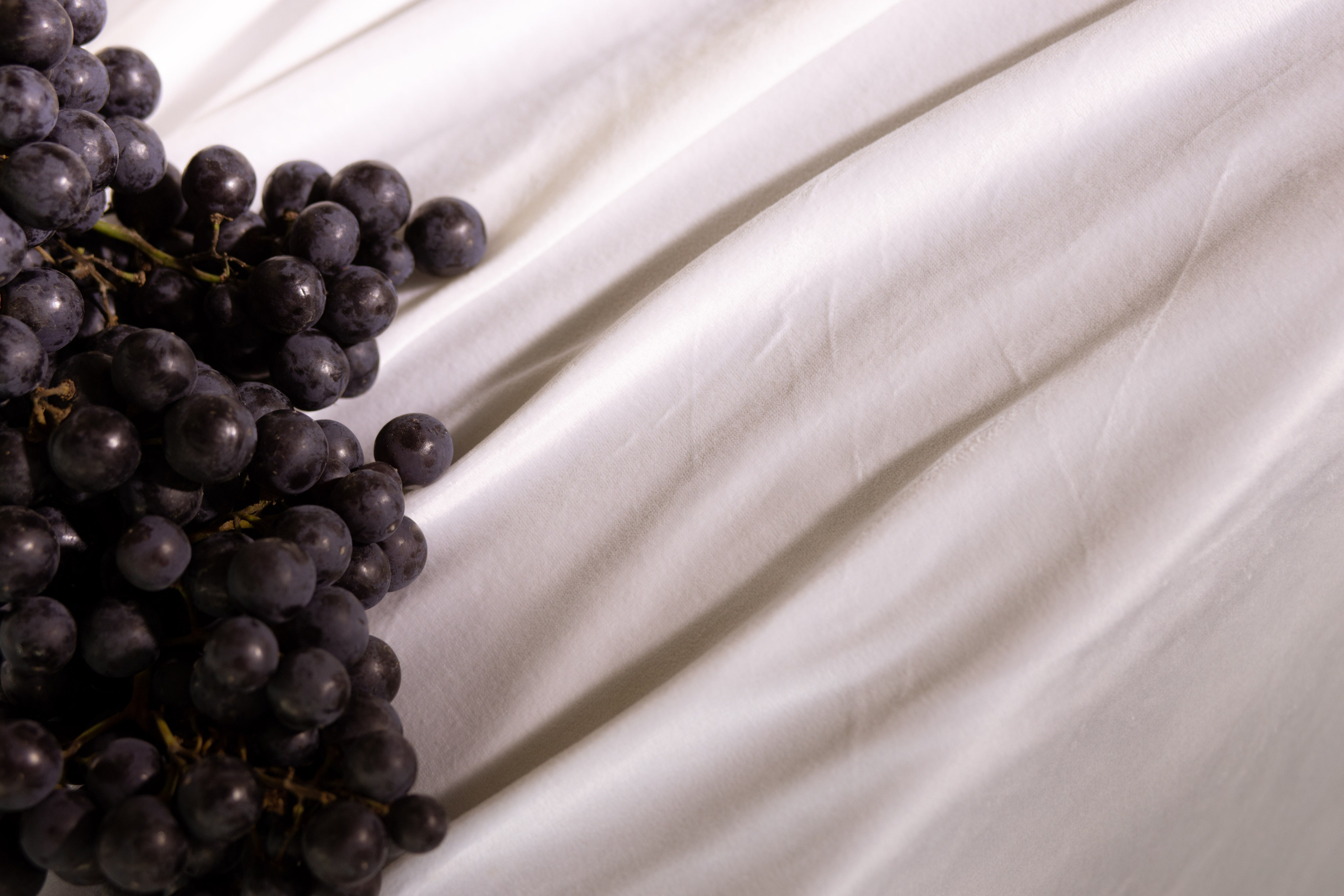 Алина & Андрей. Оформление свадеб, декор свадеб Вера Маркова, Москва