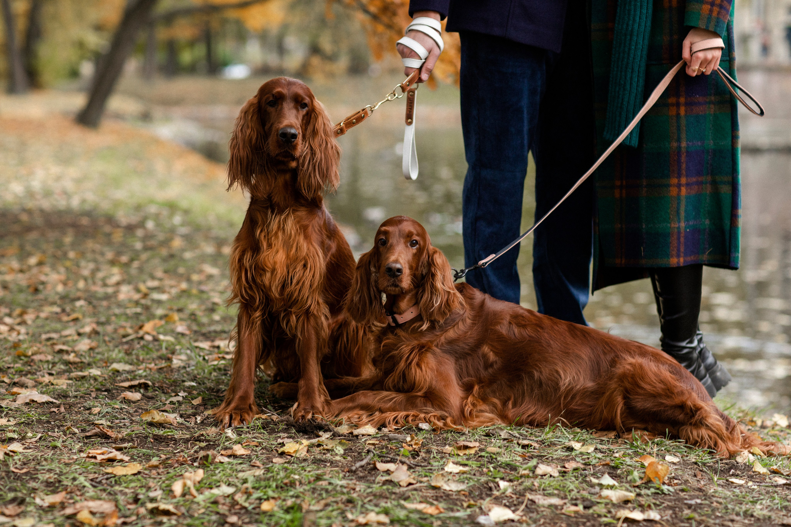 Валерия и Артур. Свадебный и портретный фотограф