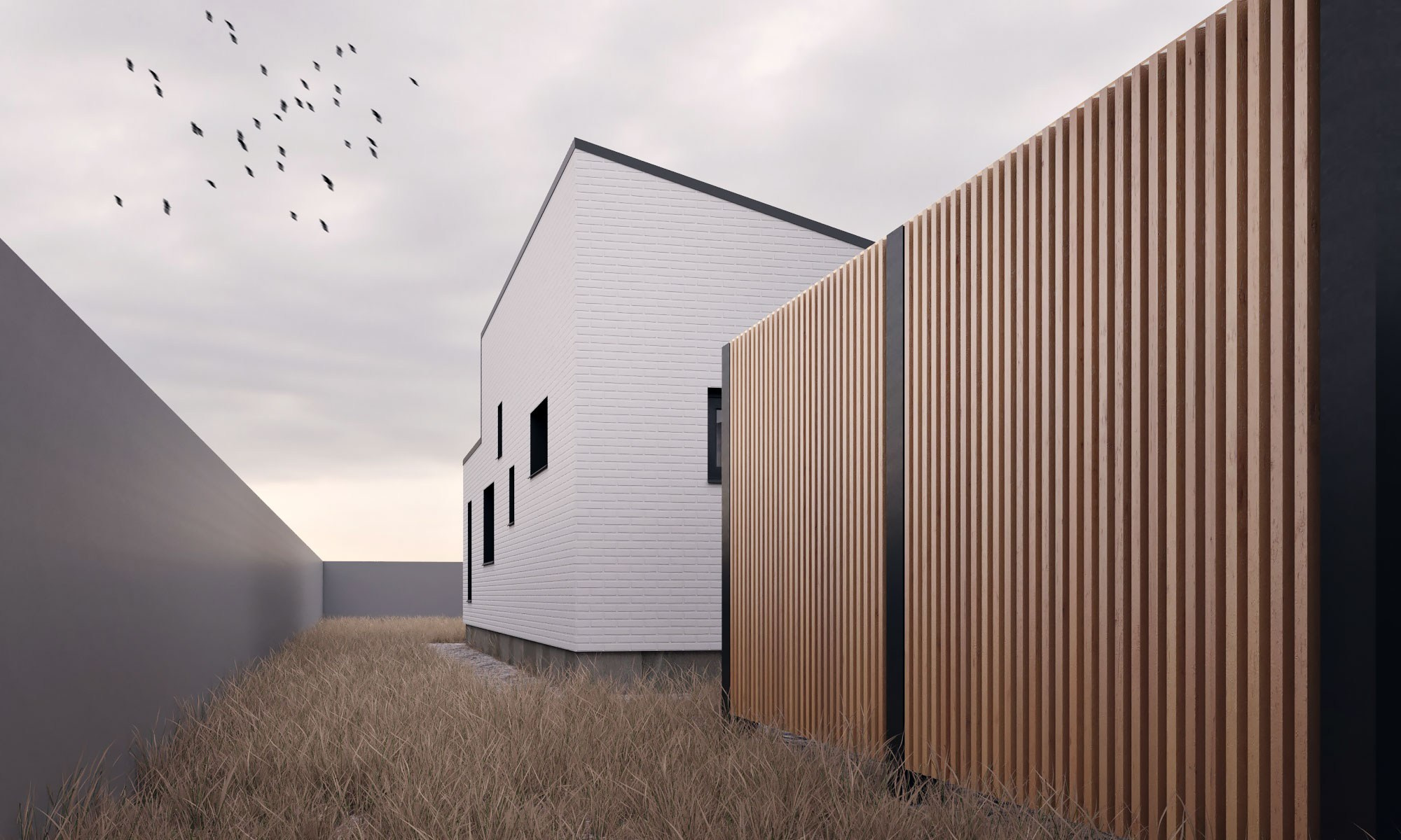 Vost_house. SAAS Селиванов Алексей Архитектурная Студия