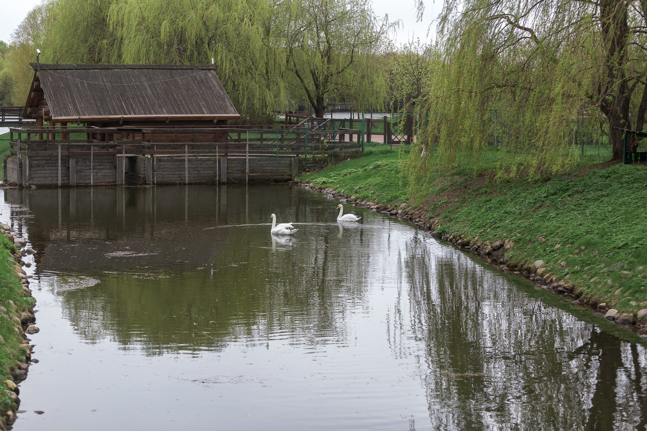 Фотопроект к 9 Мая. Репортажный фотограф в Москве