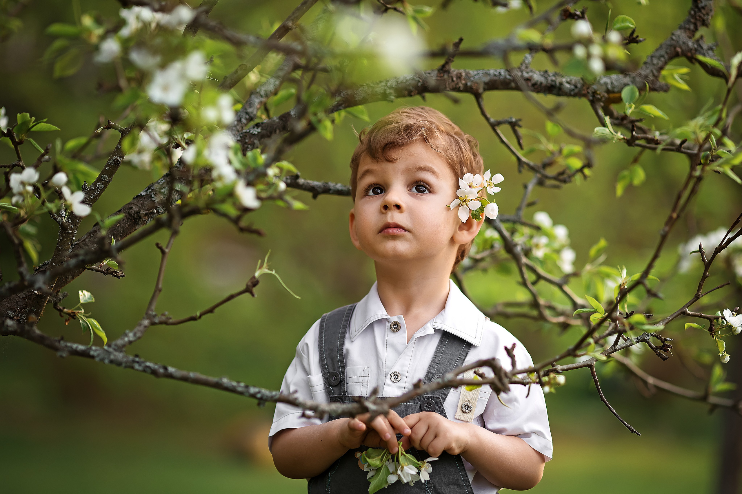Весна. Главная