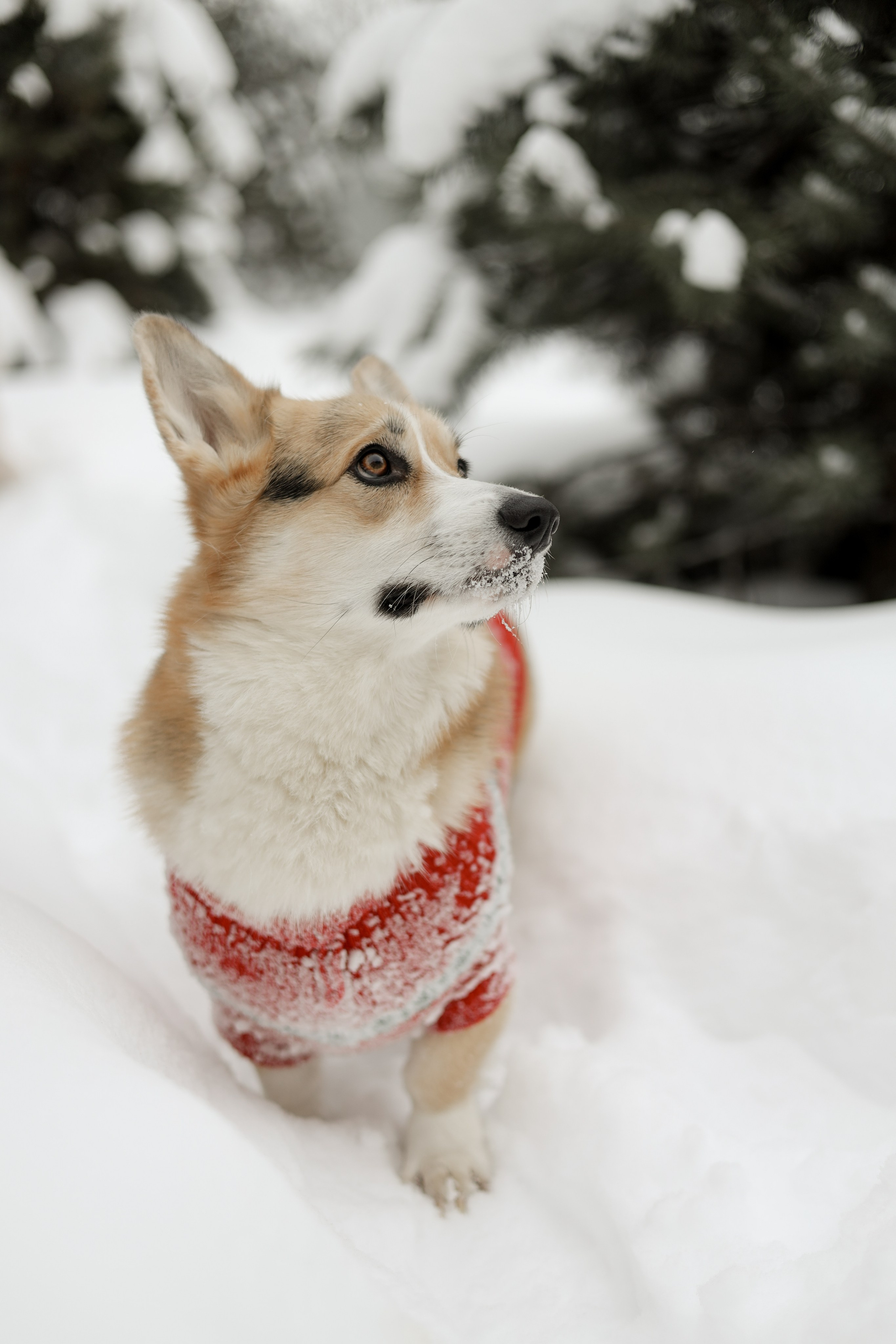 № 2. Photographer Tatiana Ivanova in Yaroslavl
