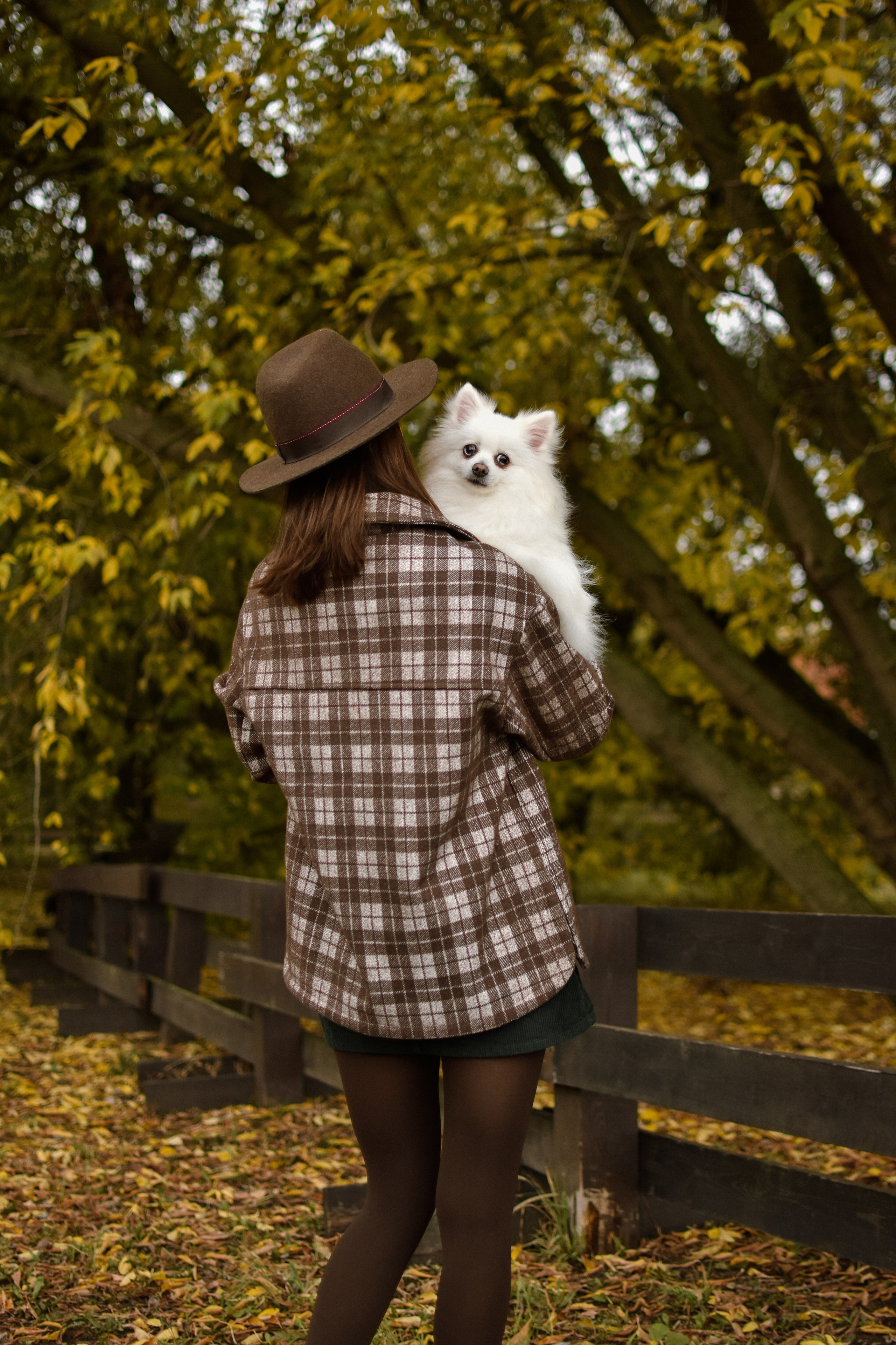Анабель и Саша. Фотограф-анималист Ксения Шевцова|Москва