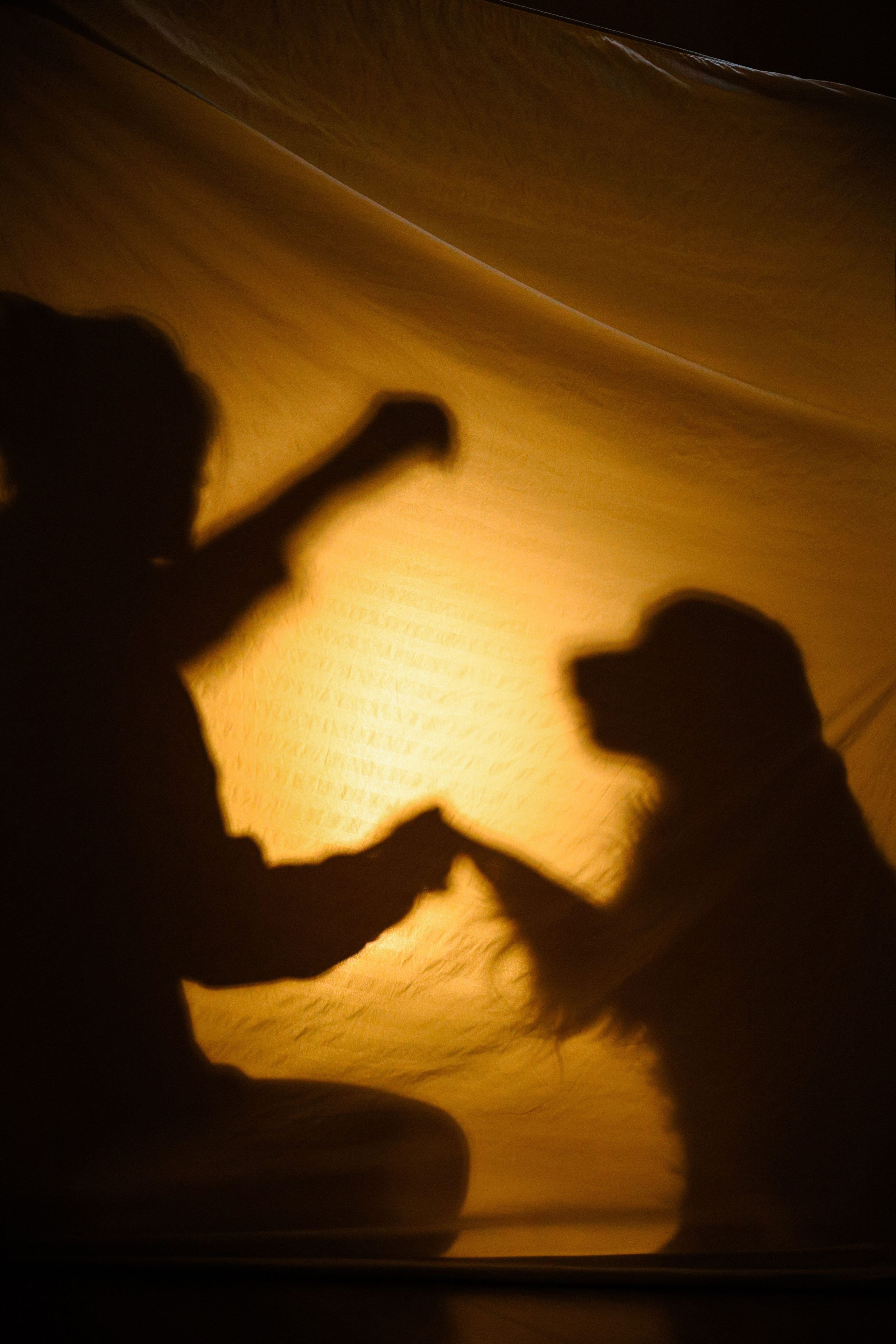 Зиз и Юля. Новогодняя. Фотограф-анималист Ксения Шевцова|Москва