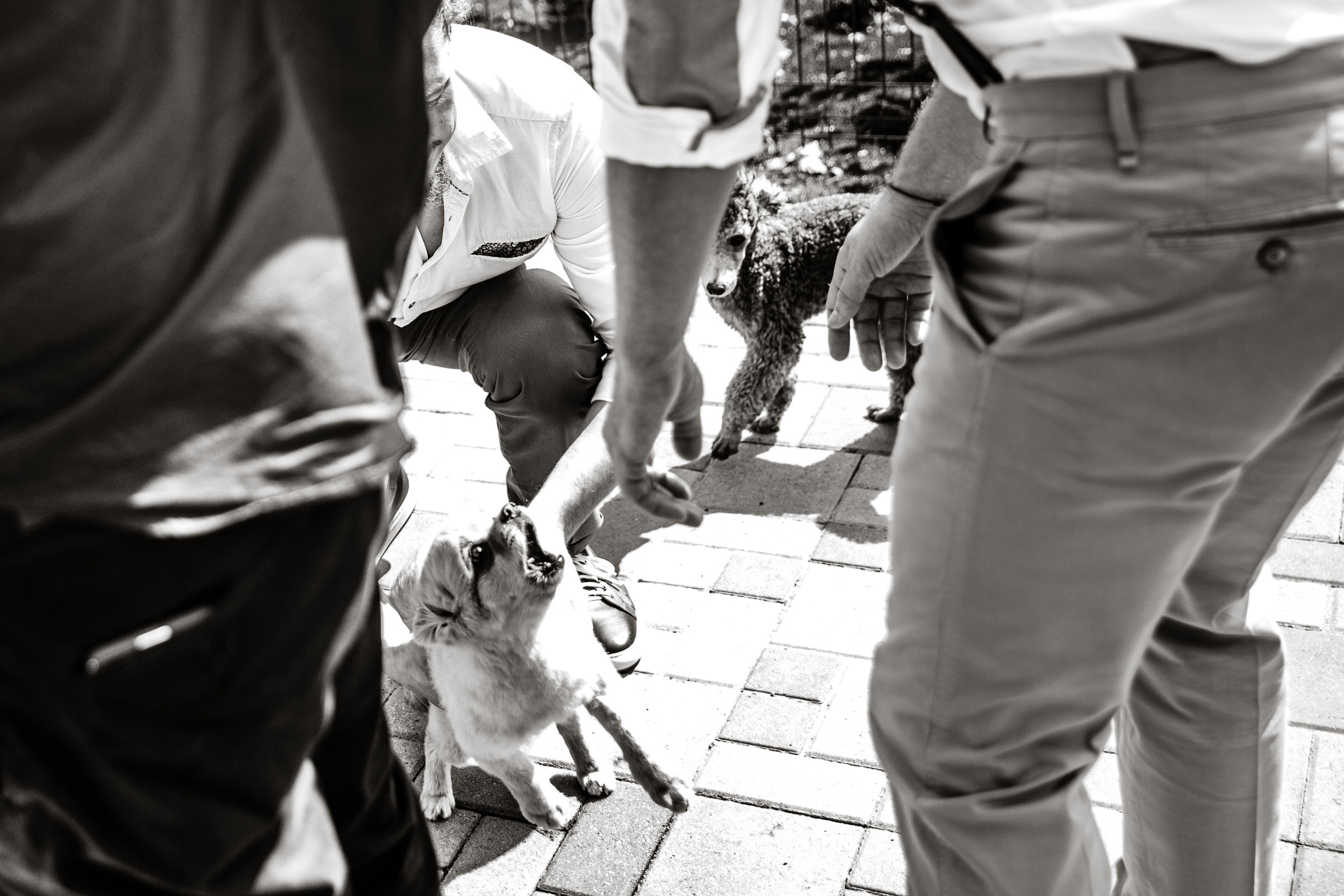 Алексей и Александра. Свадебные фотосессии в Москве. Фотограф Сергей Ржевский