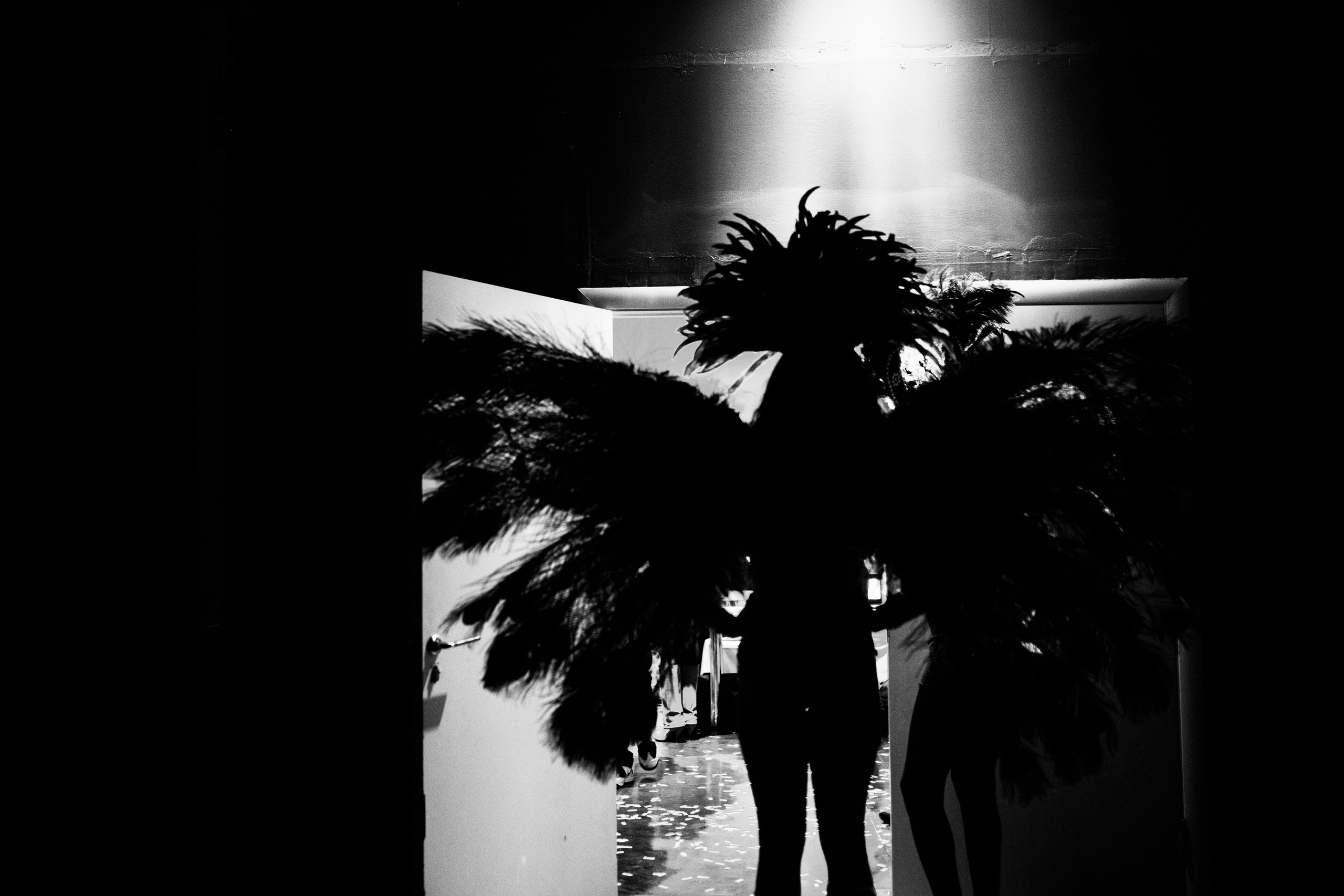 Свадебная выставка. Свадебные фотосессии в Москве. Фотограф Сергей Ржевский