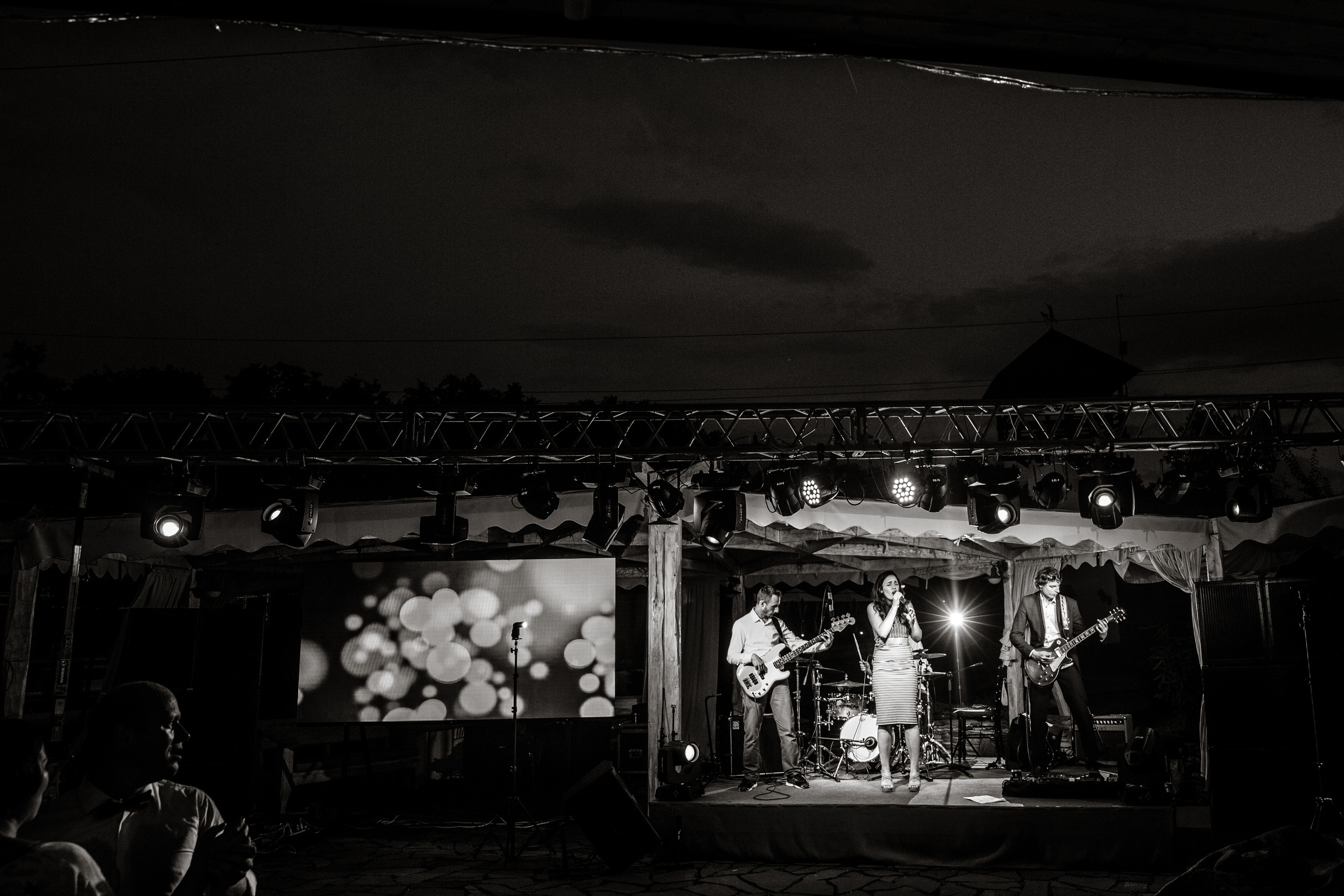 Алексей и Александра. Свадебные фотосессии в Москве. Фотограф Сергей Ржевский