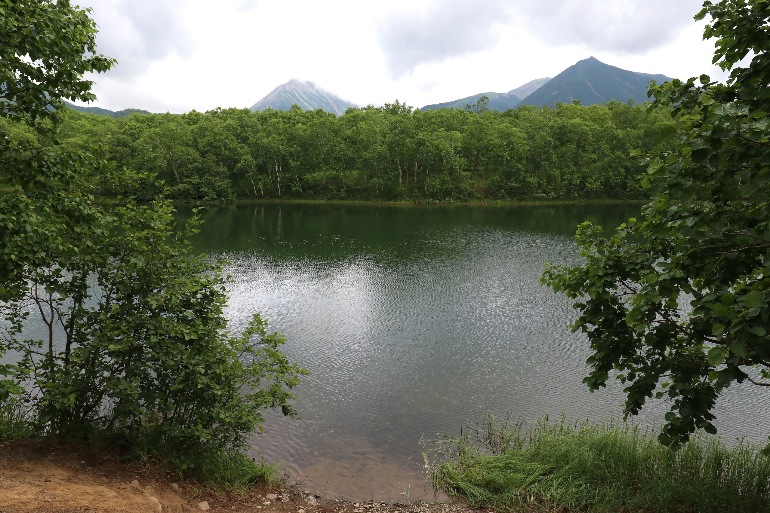 Камчатка и о. Парамушир. Июль 2024. Путешественник-фотограф из Санкт-Петербурга Татьяна Свистулина