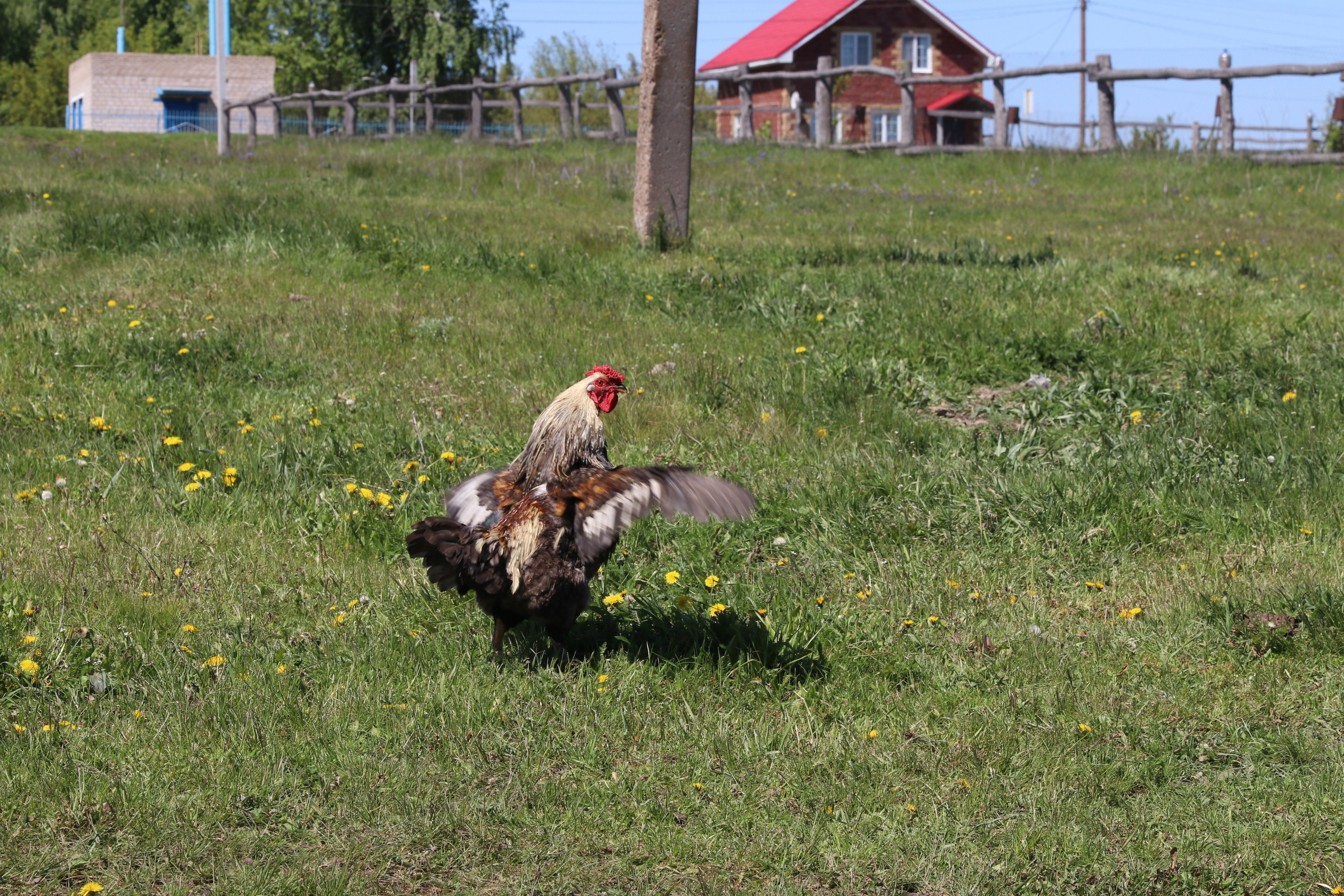 Велопоход Уфа — Мелеуз. Май 2024. Путешественник-фотограф из Санкт-Петербурга Татьяна Свистулина