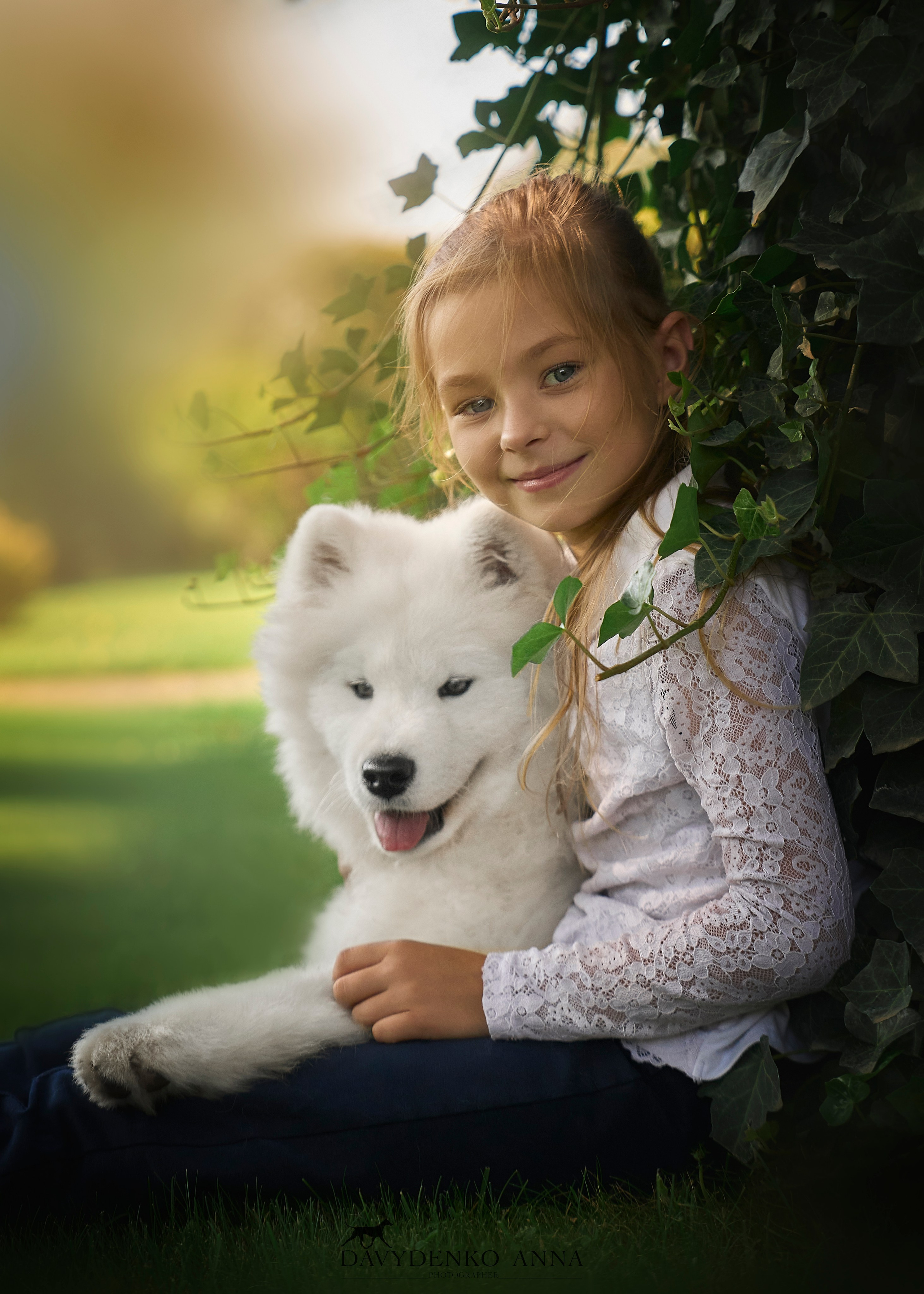 щенок самоеда краснодар