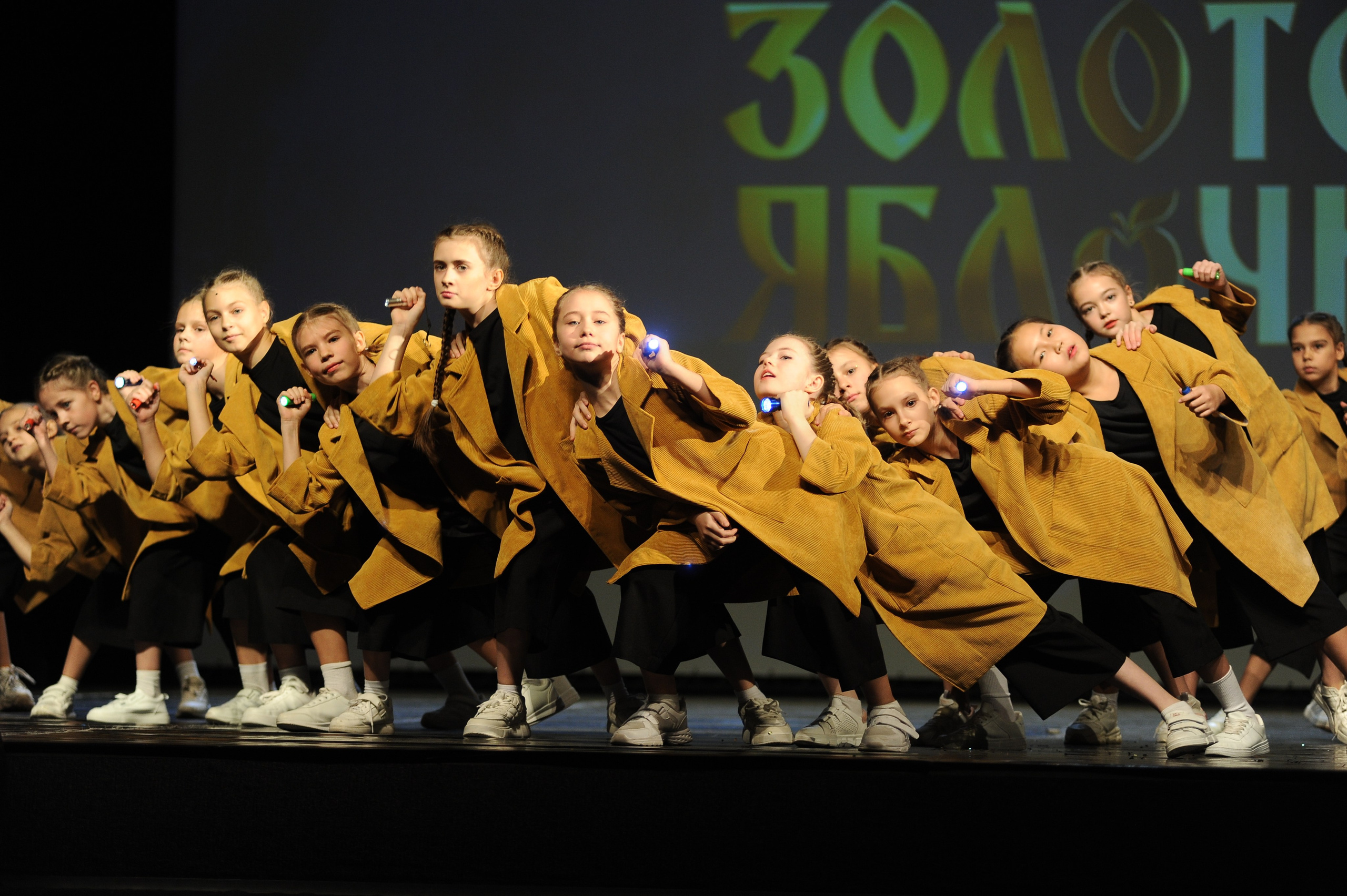 16 ноября, г. Красноярск. Золотое яблочко