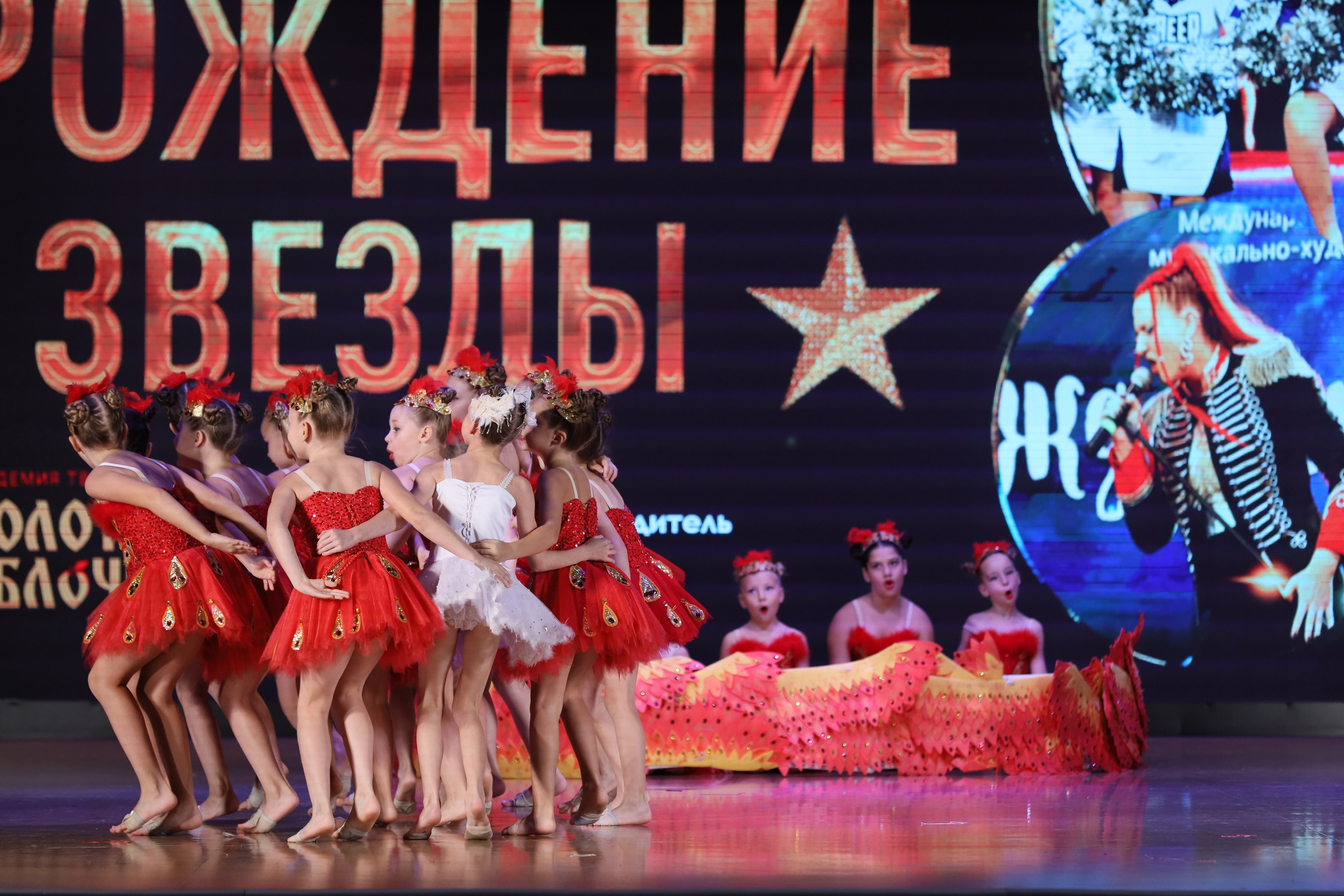 4 ноября, блок 1, видео, номера 14-29, г. Краснодар. Золотое яблочко