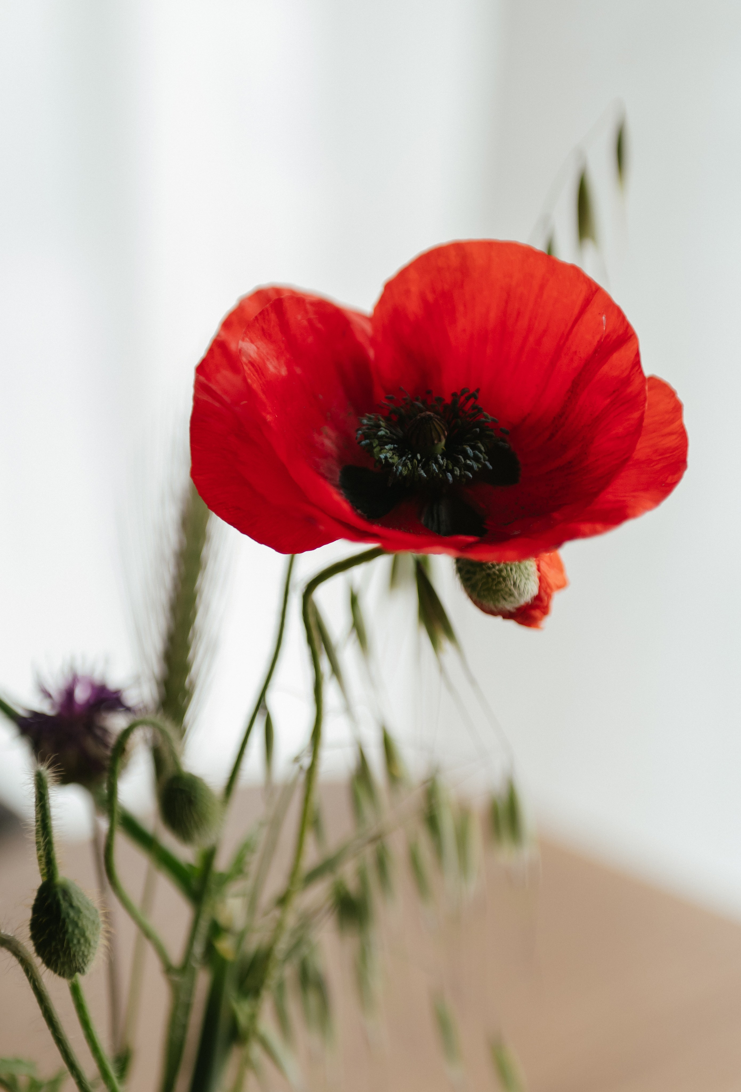 ♥. Свадебный, женский, семейный фотограф в Севастополе Юлия Мошенко