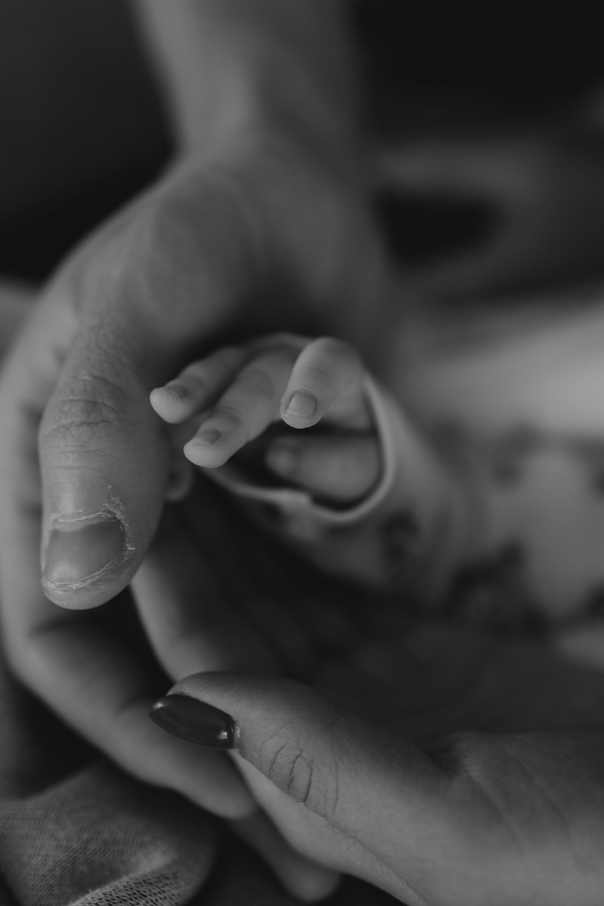 Семейный и женский фотограф в Москве Елизавета Волкова