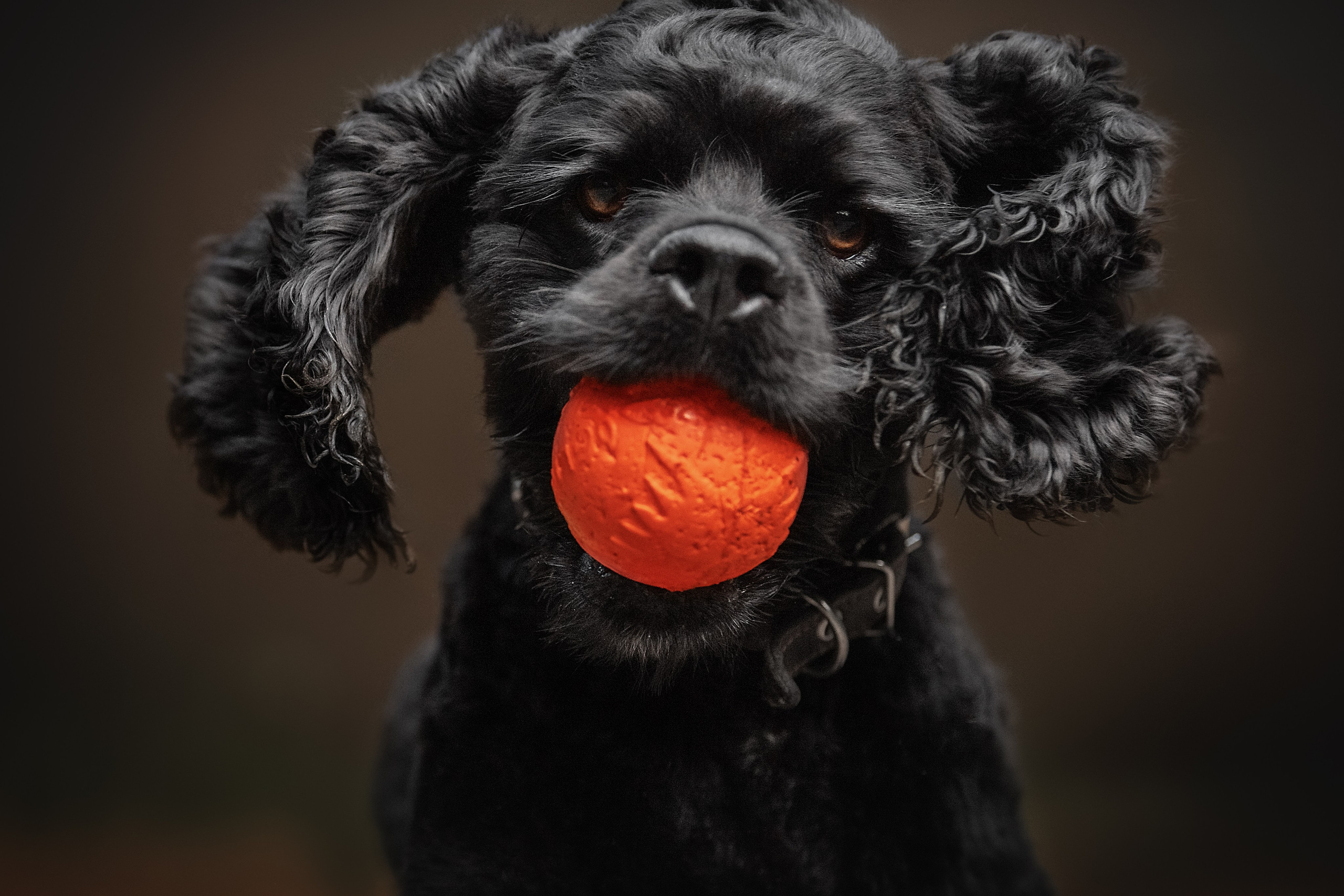 Lovestory Лена и Дима. Женский фотограф в Москве Богдашкина Динара