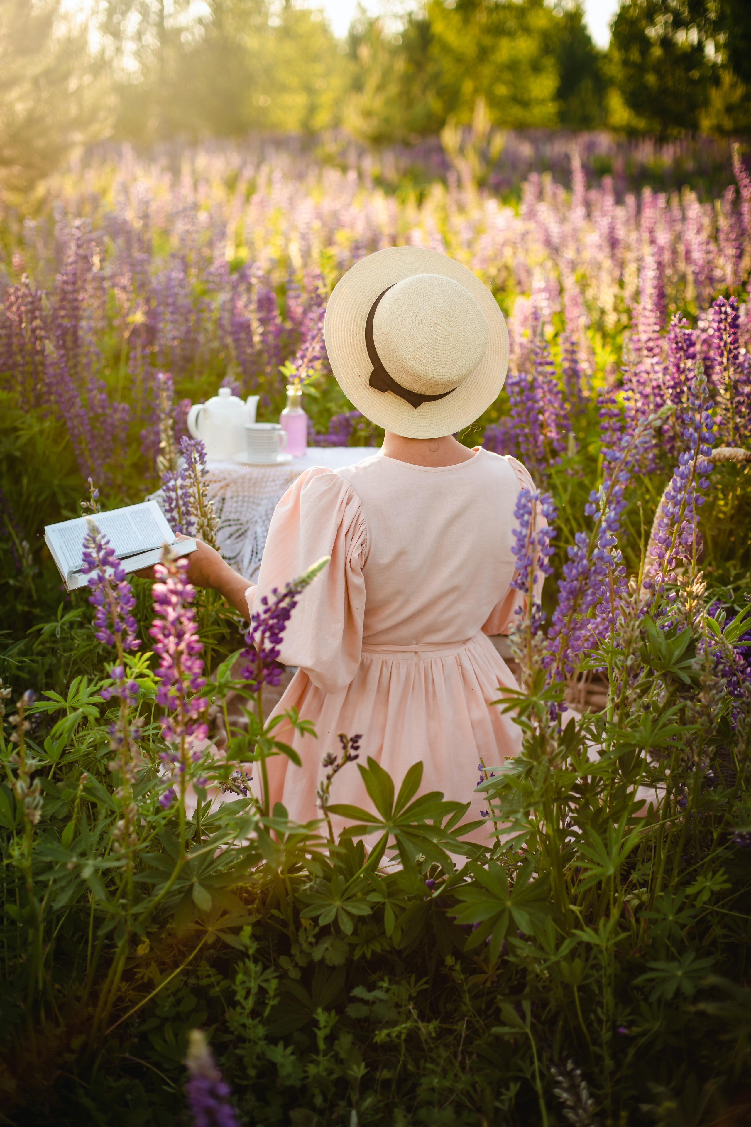 Люпины. Olga.filippova.photo