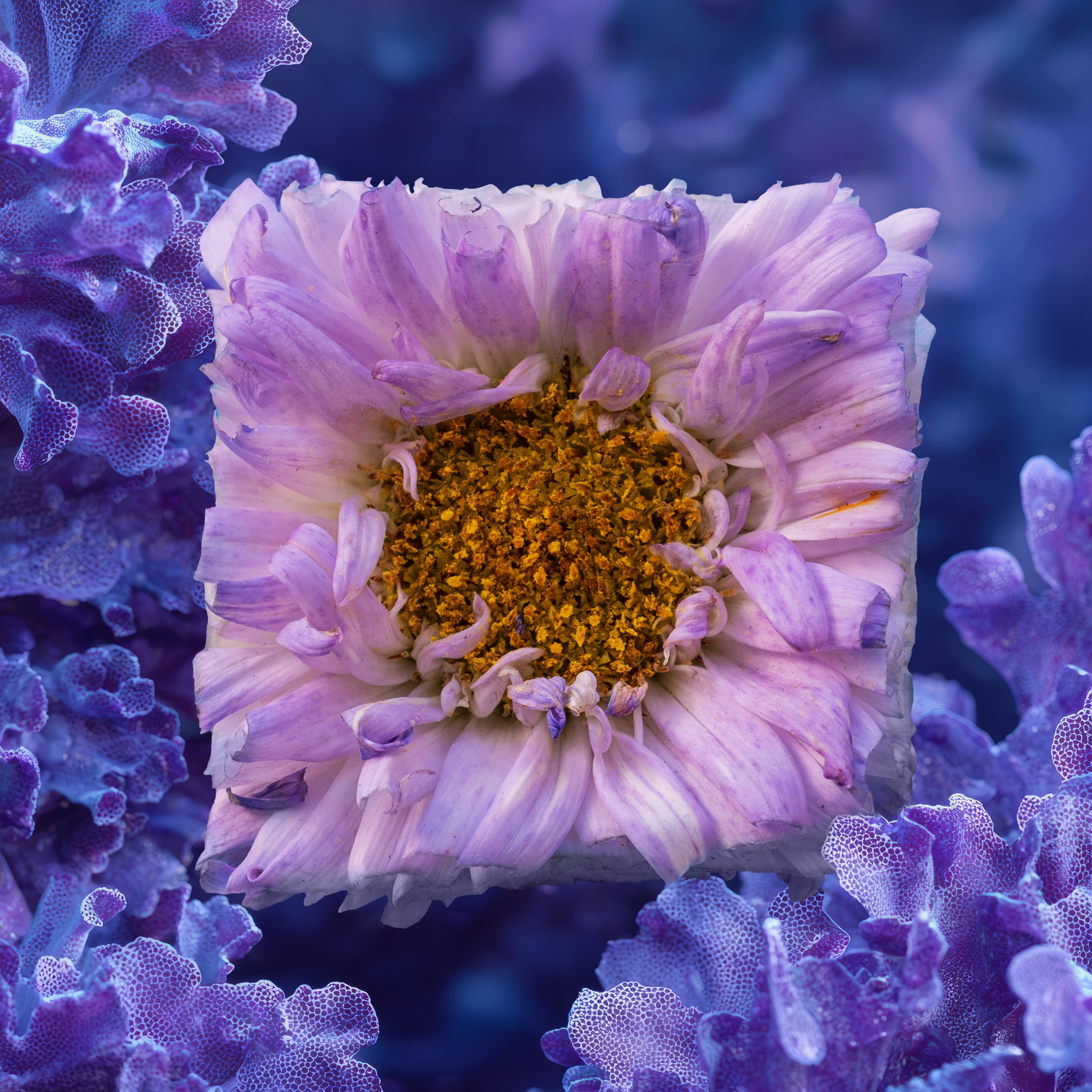 Кубики. Alena Ivochkina — conceptual photographer