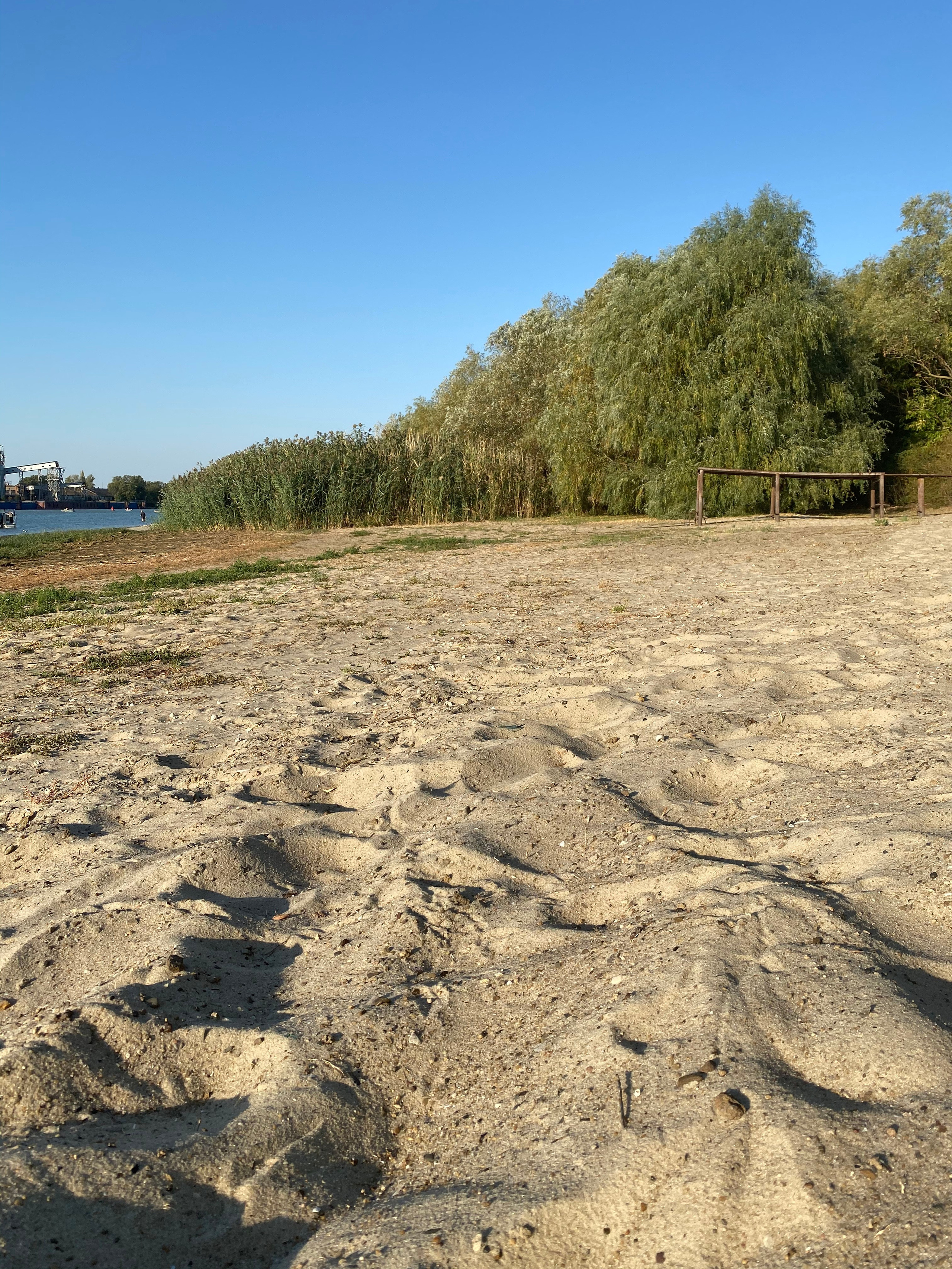 АбунаФест, Камышовый Рай — 20. Своя Мастерская