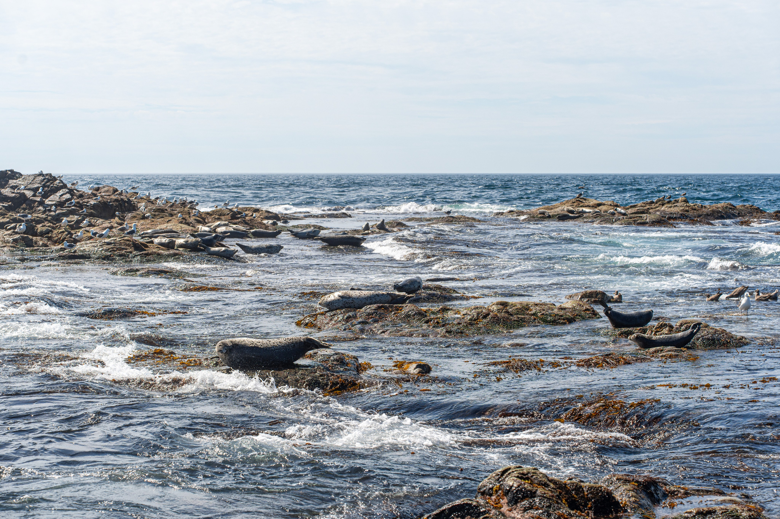 Сахалин 2025. Творческие сьемки