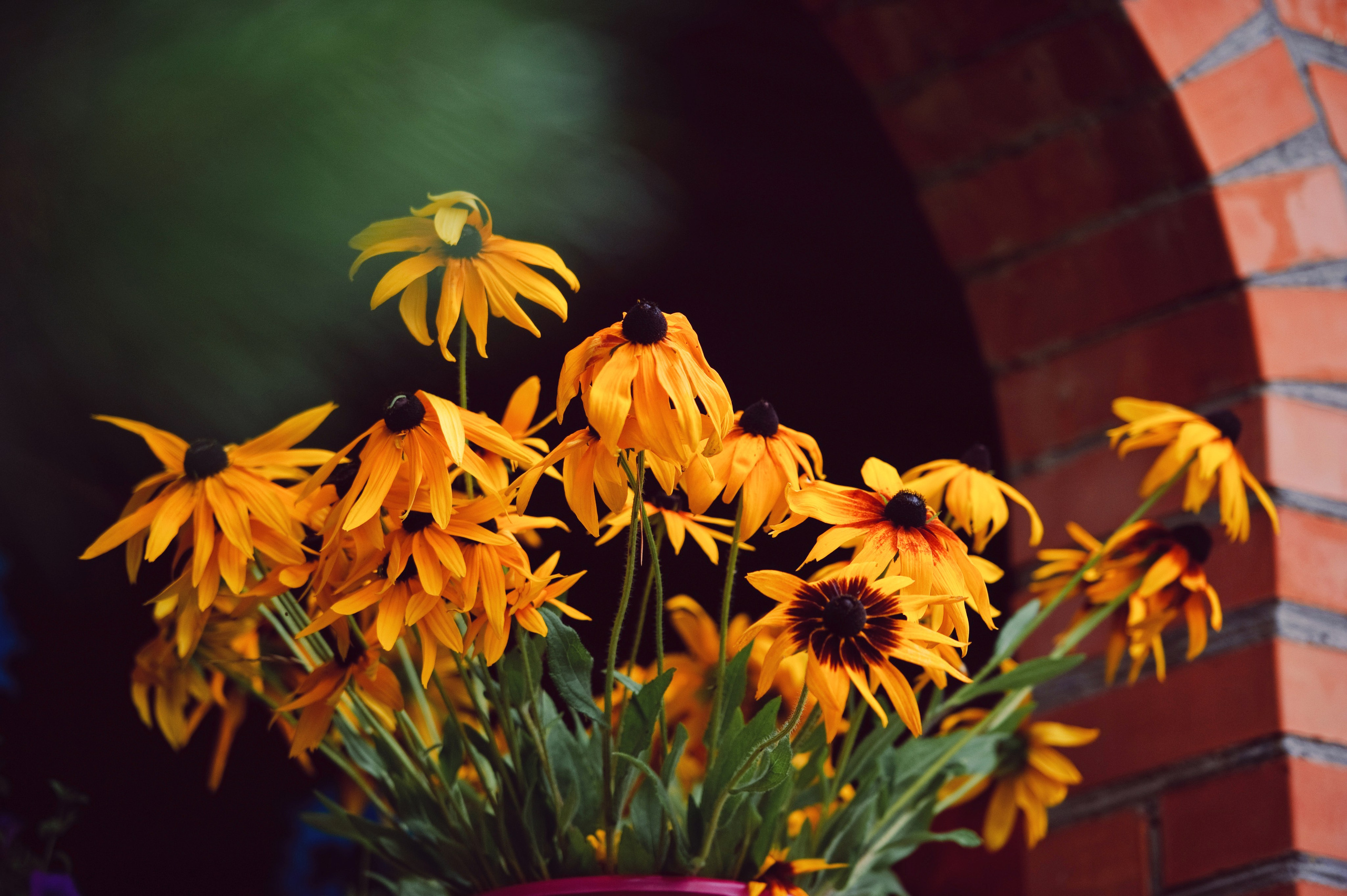 София и Евгений. Свадьба, Гжель. Семейный фотограф Анна Дубовская