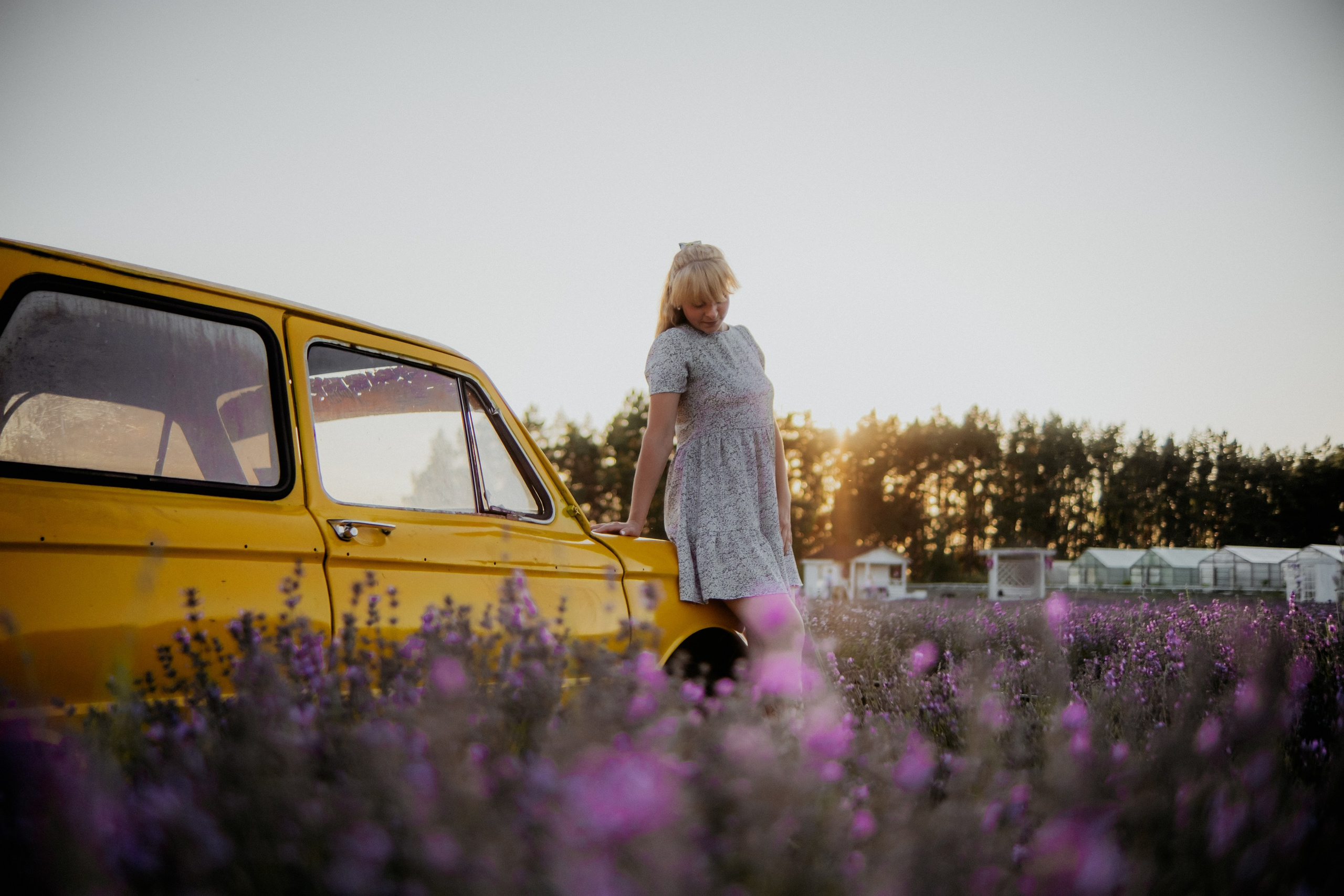 Семейная съемка в лованде. Nattie.ph