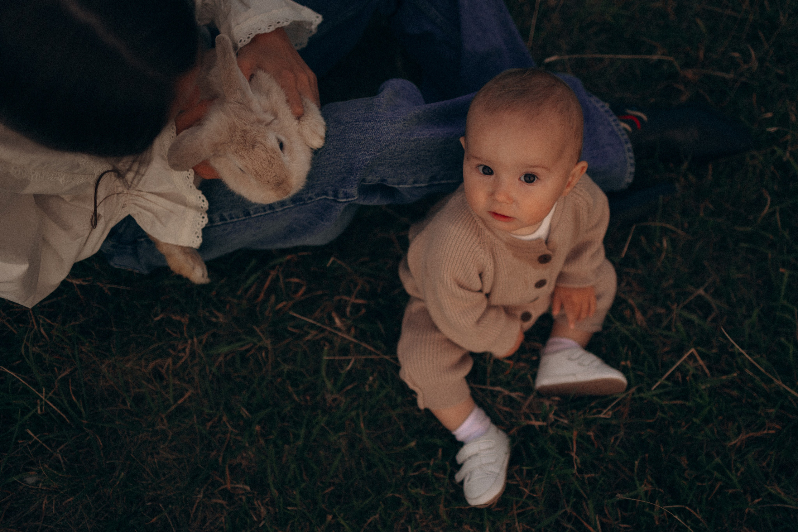 Семейная. Фотораф — анималист Мария Шистка