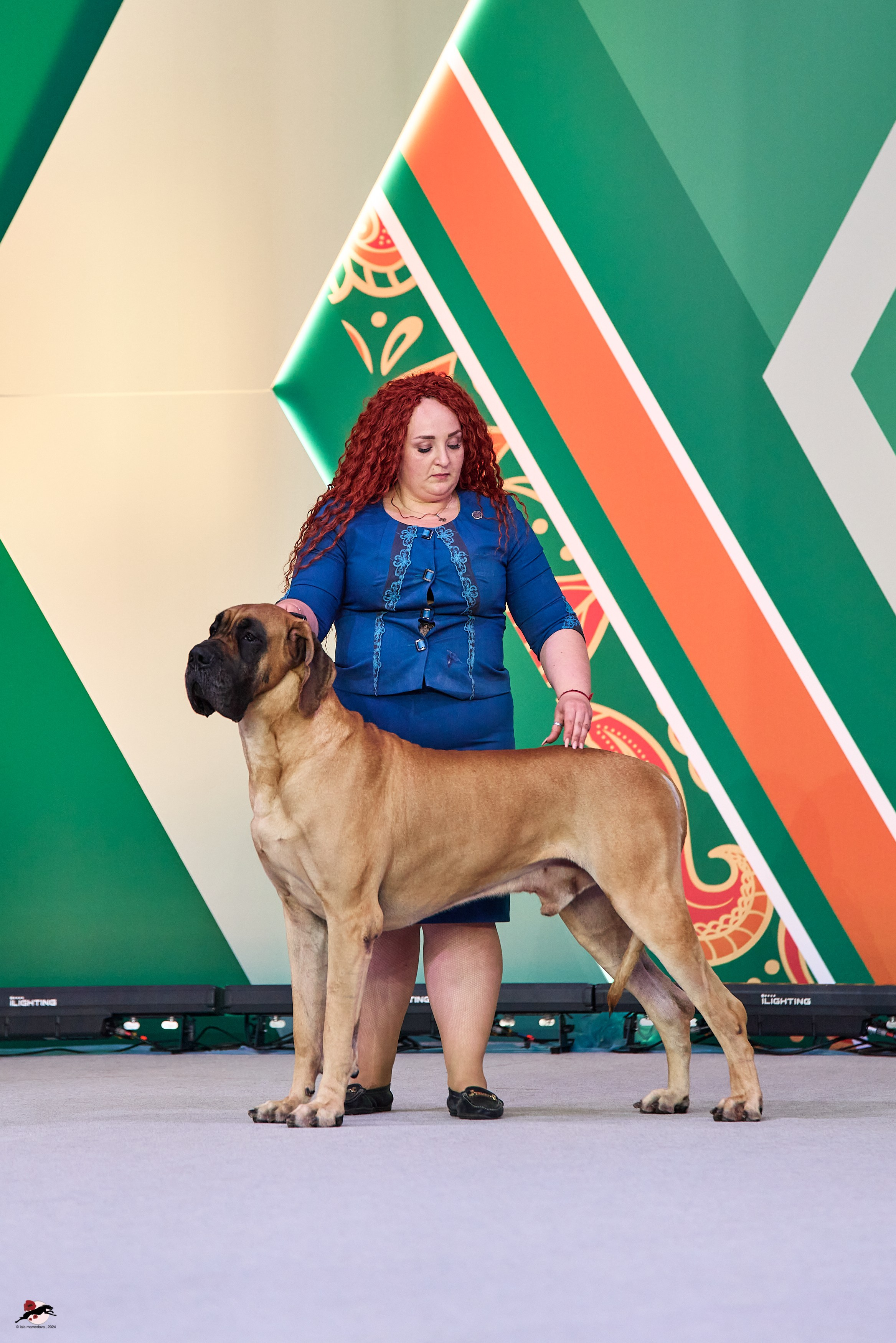 17.11.2024 «ЕВРАЗИЯ. КУБОК СНГ 2024»