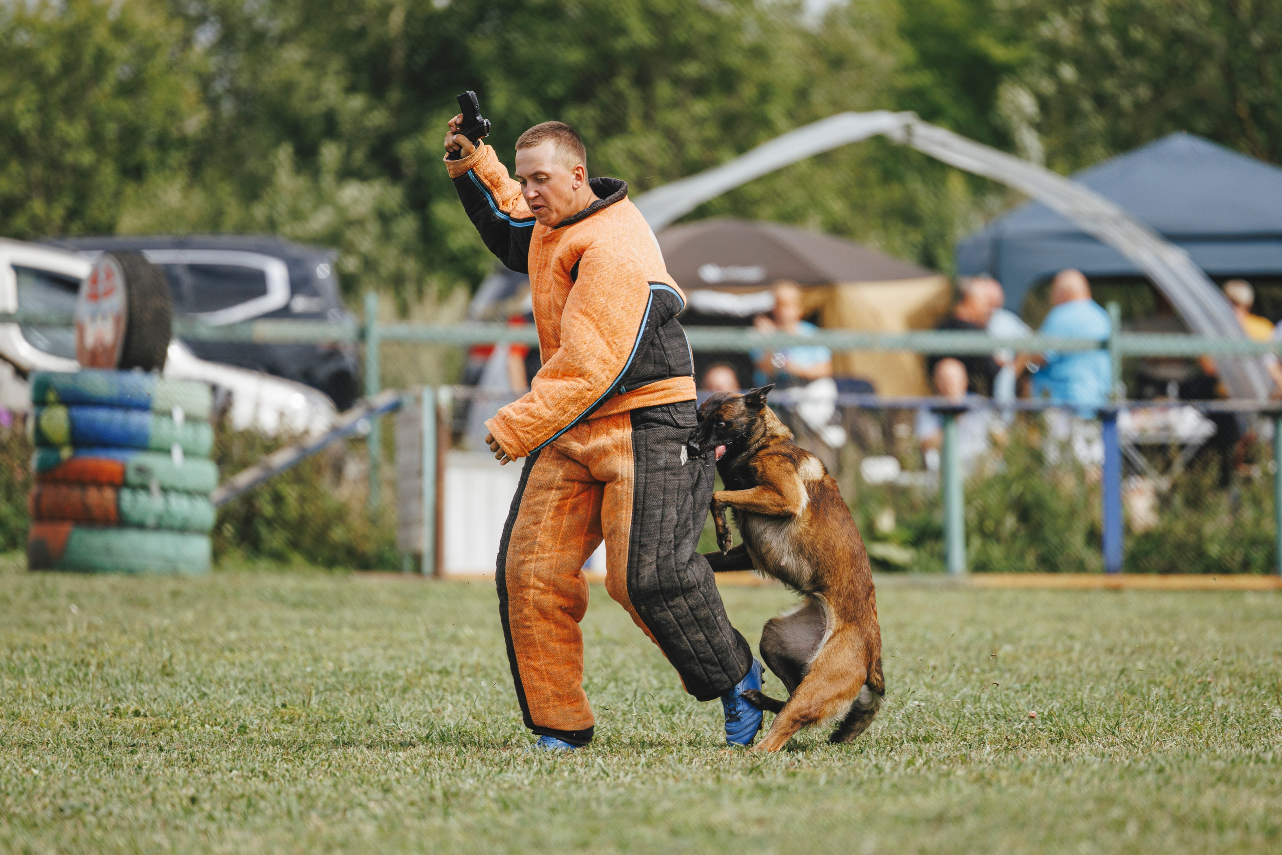 08.08.25-10.08.25 ЧР по мондьорингу г. Вологда. Фотограф-анималист Анна Маринич