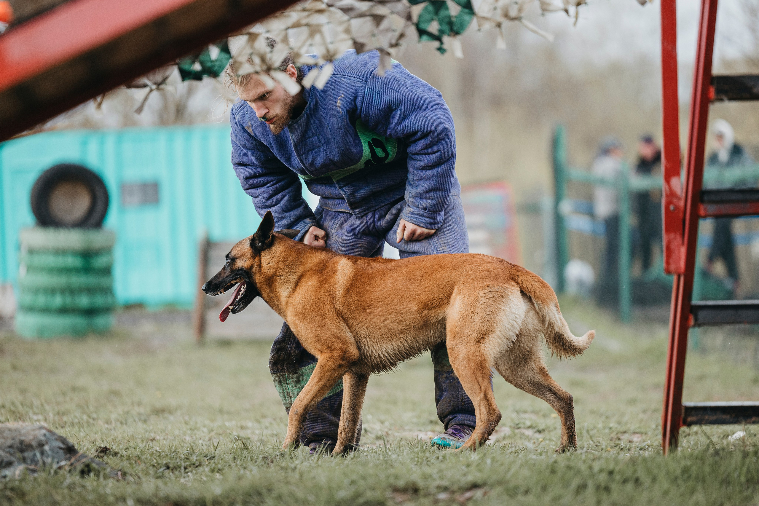 09.05.25 Вологда соревнования. Фотограф-анималист Анна Маринич