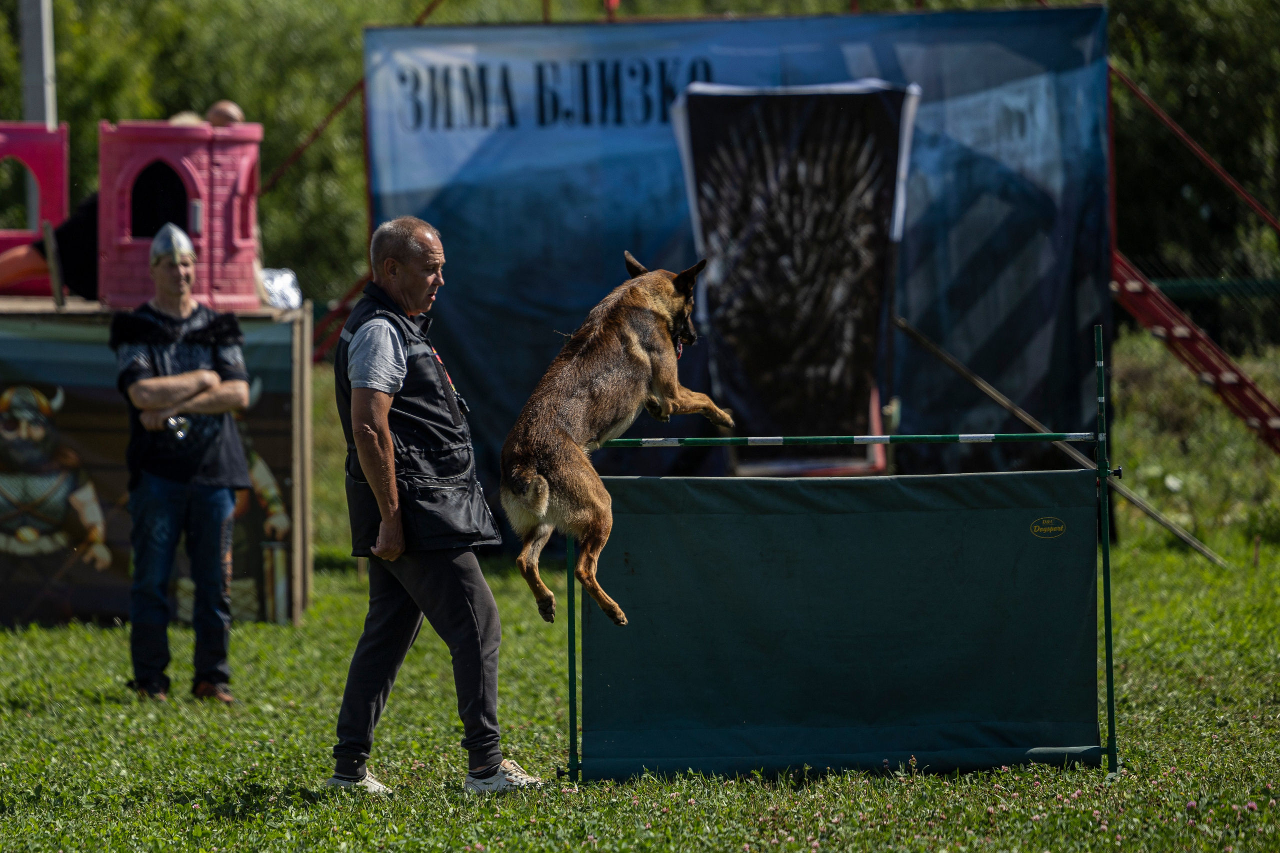 Соревнования по Мондьорингу г. Вологда 10-11.08.2024. Фотограф-анималист Анна Маринич