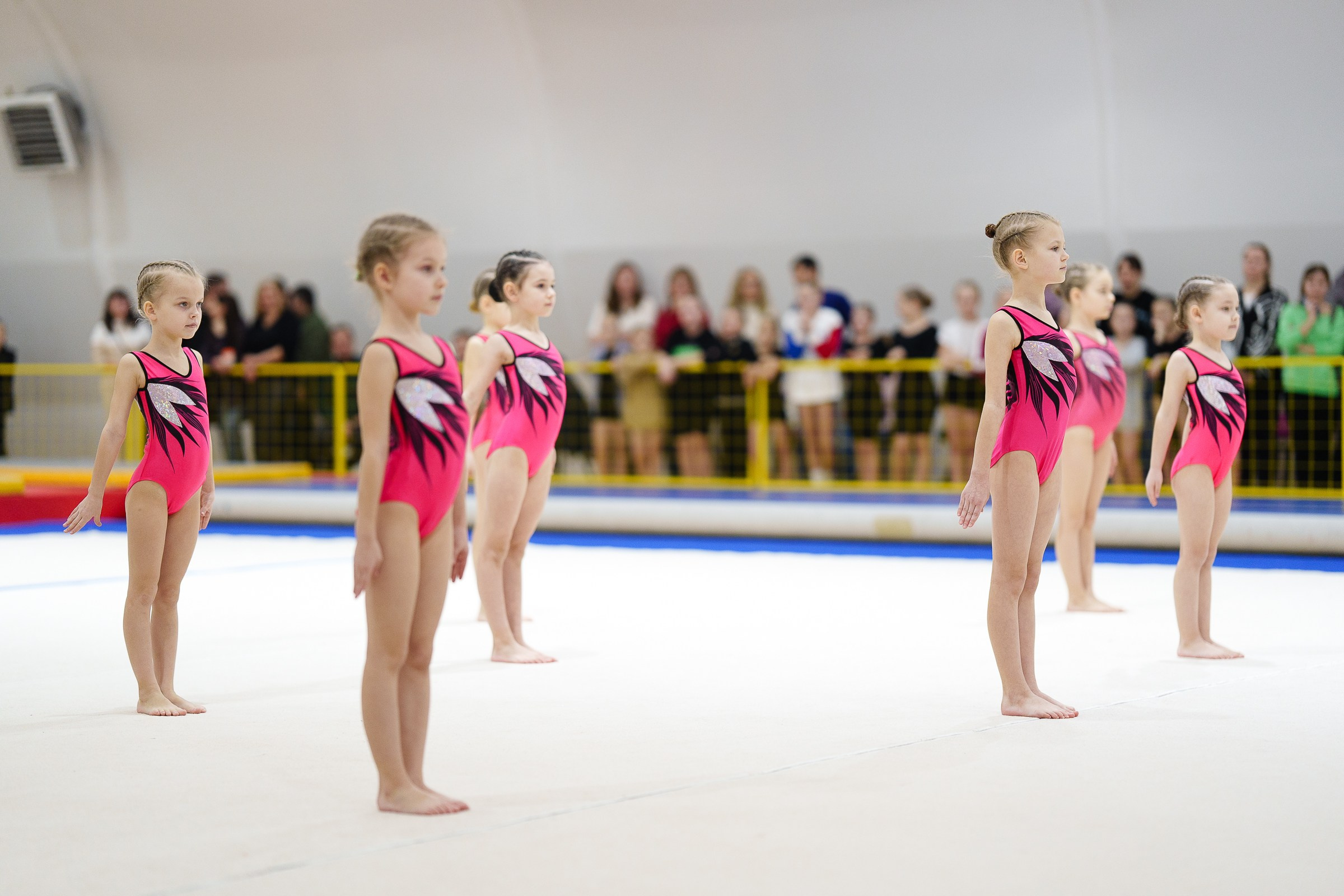 Гимнастика. Фотограф Москва