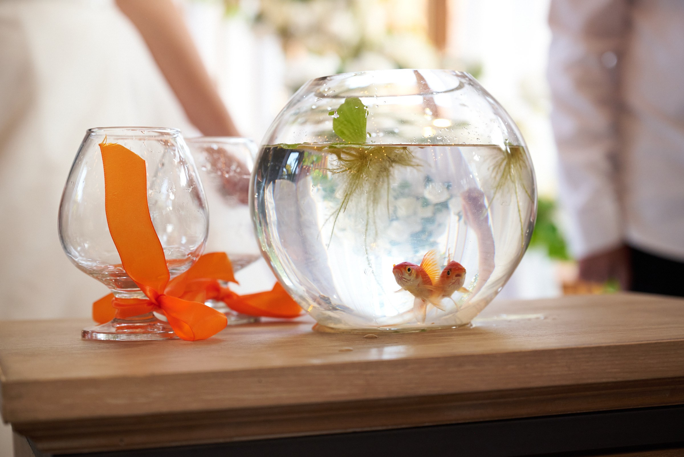 Ярослав и Юлия. Маляревич Дмитрий свадебный фотограф