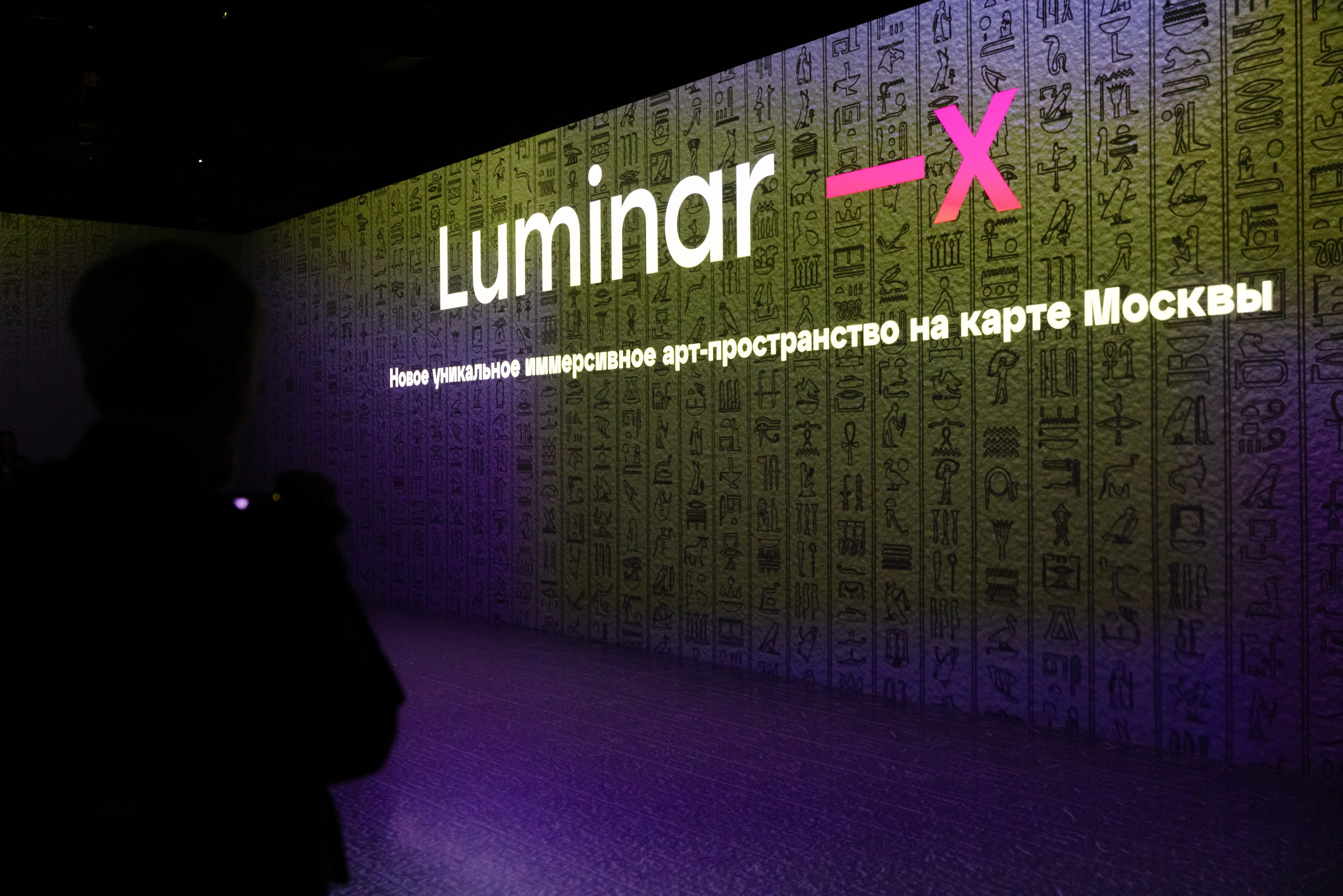 Выставка «Тутанхамон» в Luminar-X. Виктория Зудина — фотограф в Москве