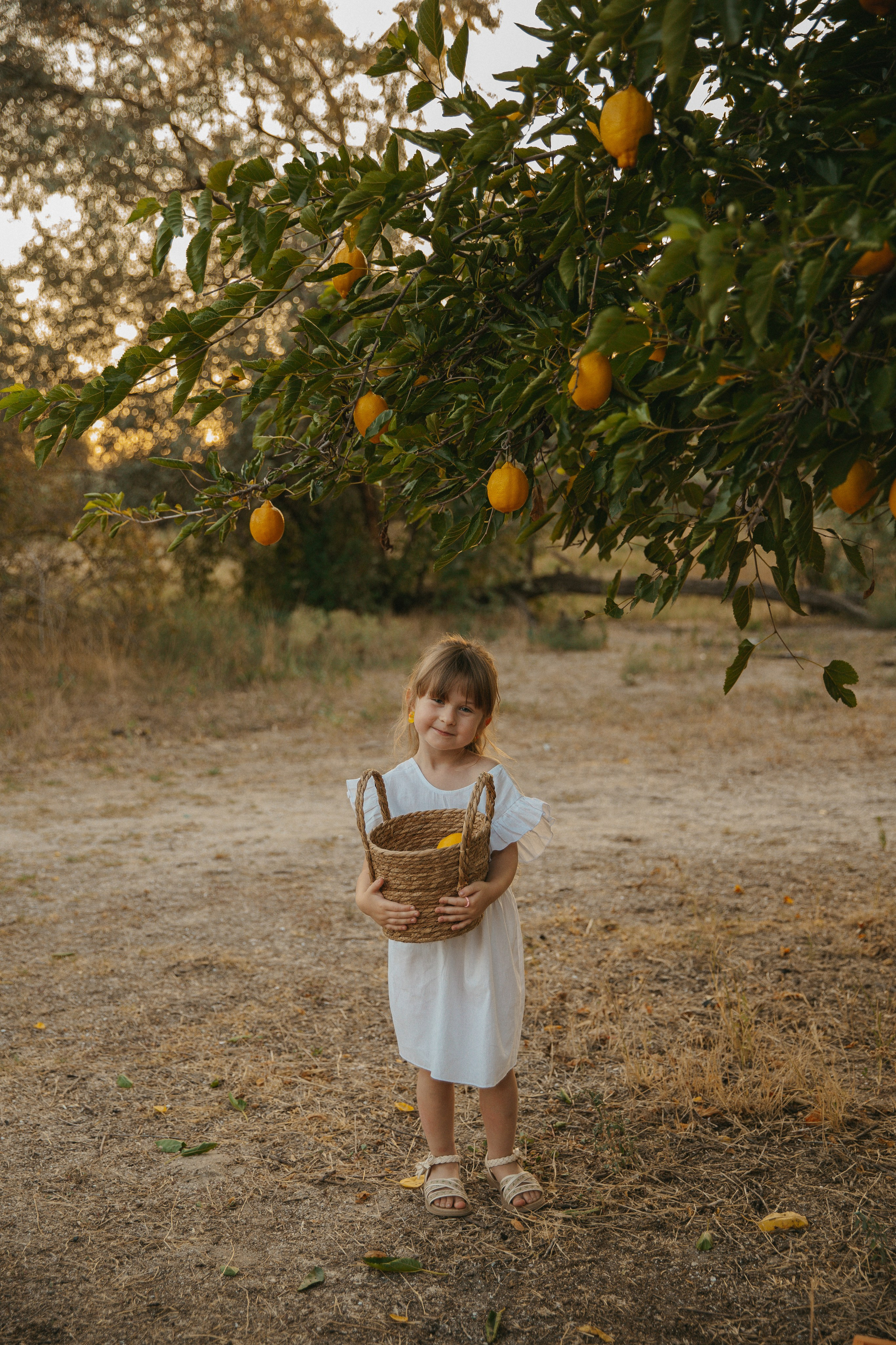 Фотопроект с лимонами