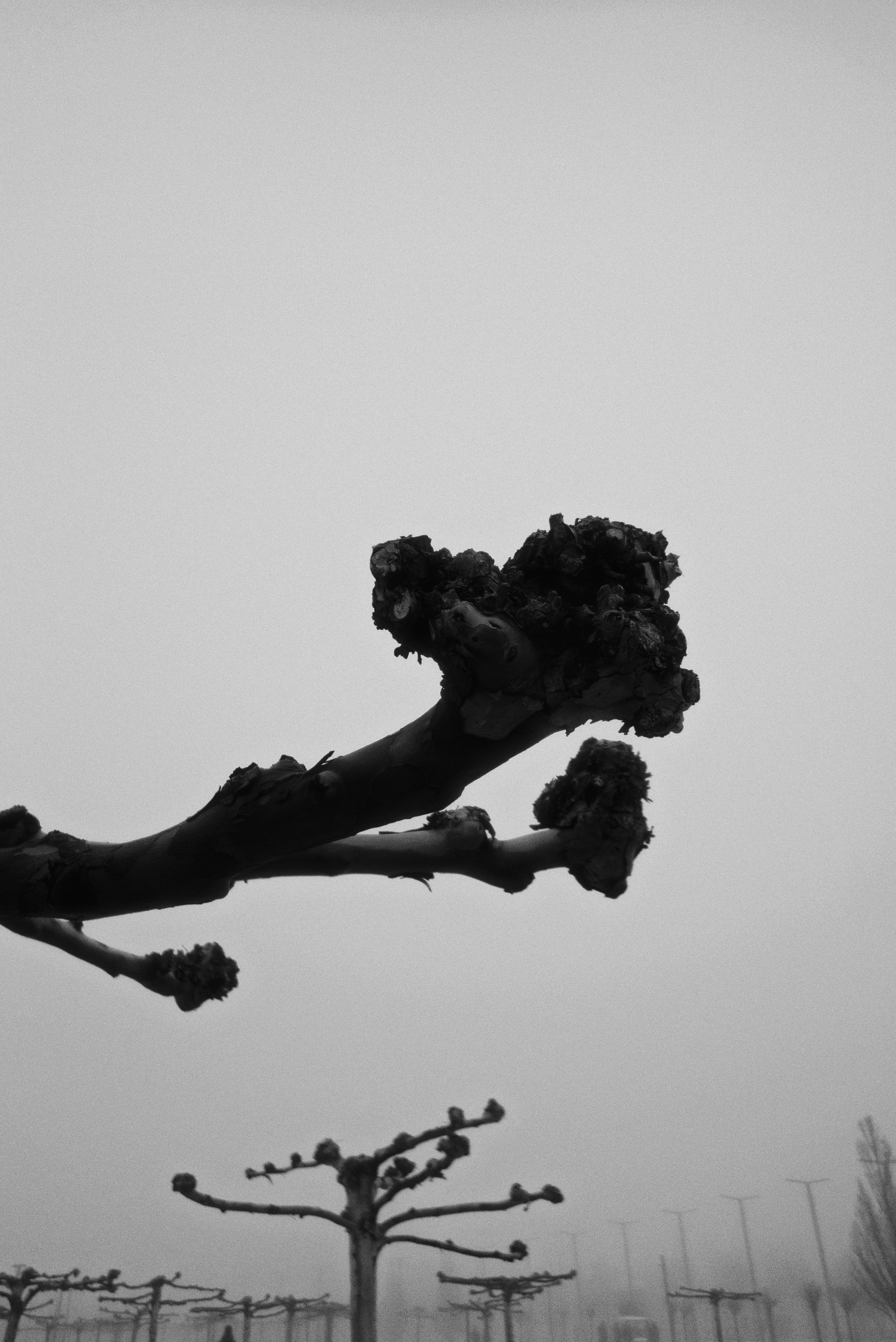 OM-System Tough-7 / Park Krasnodar (darkness). Фотограф Юрин Евгений