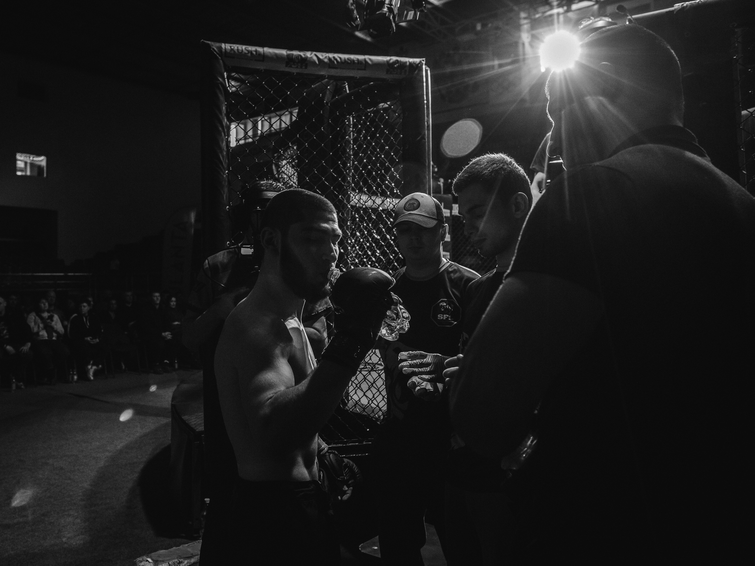 SFL 17 | Siberian Fighting League. Портретный фотограф в Москве Дарья Цезария