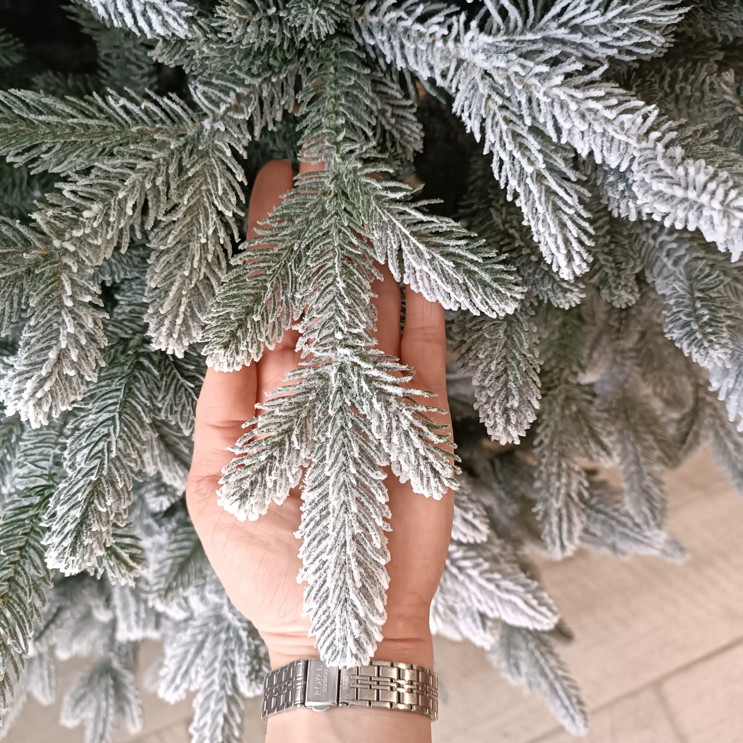 СЬЮЗАН. Elki_grodno