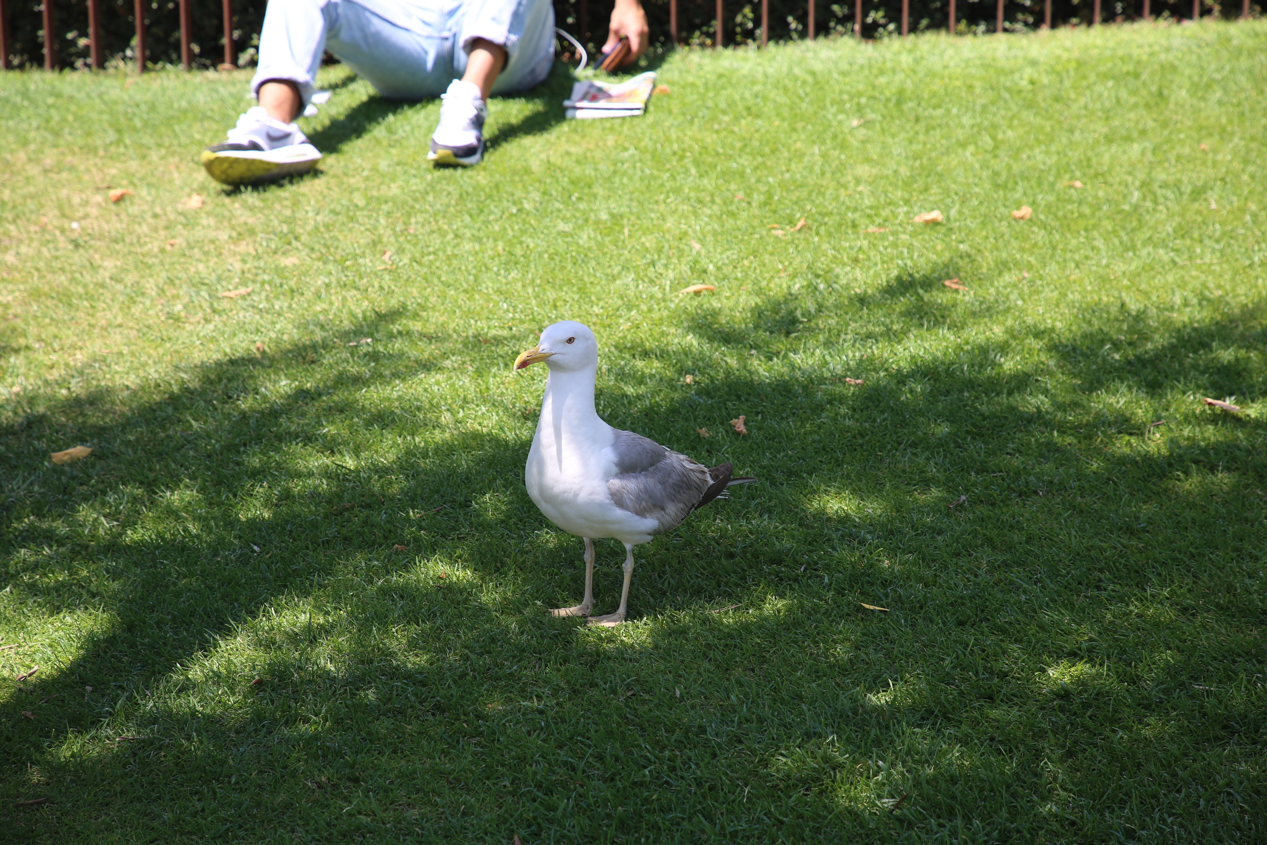 Porto, Portugal. Andrey Filippov Photographer