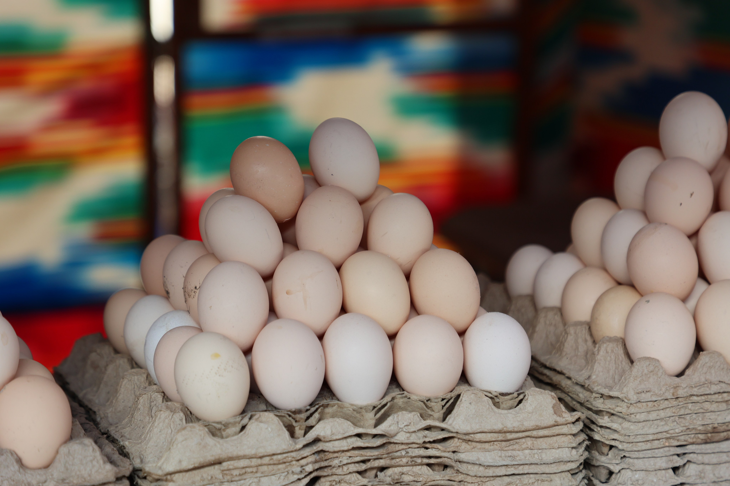 Tashkent, Uzbekistan. Andrey Filippov Photographer