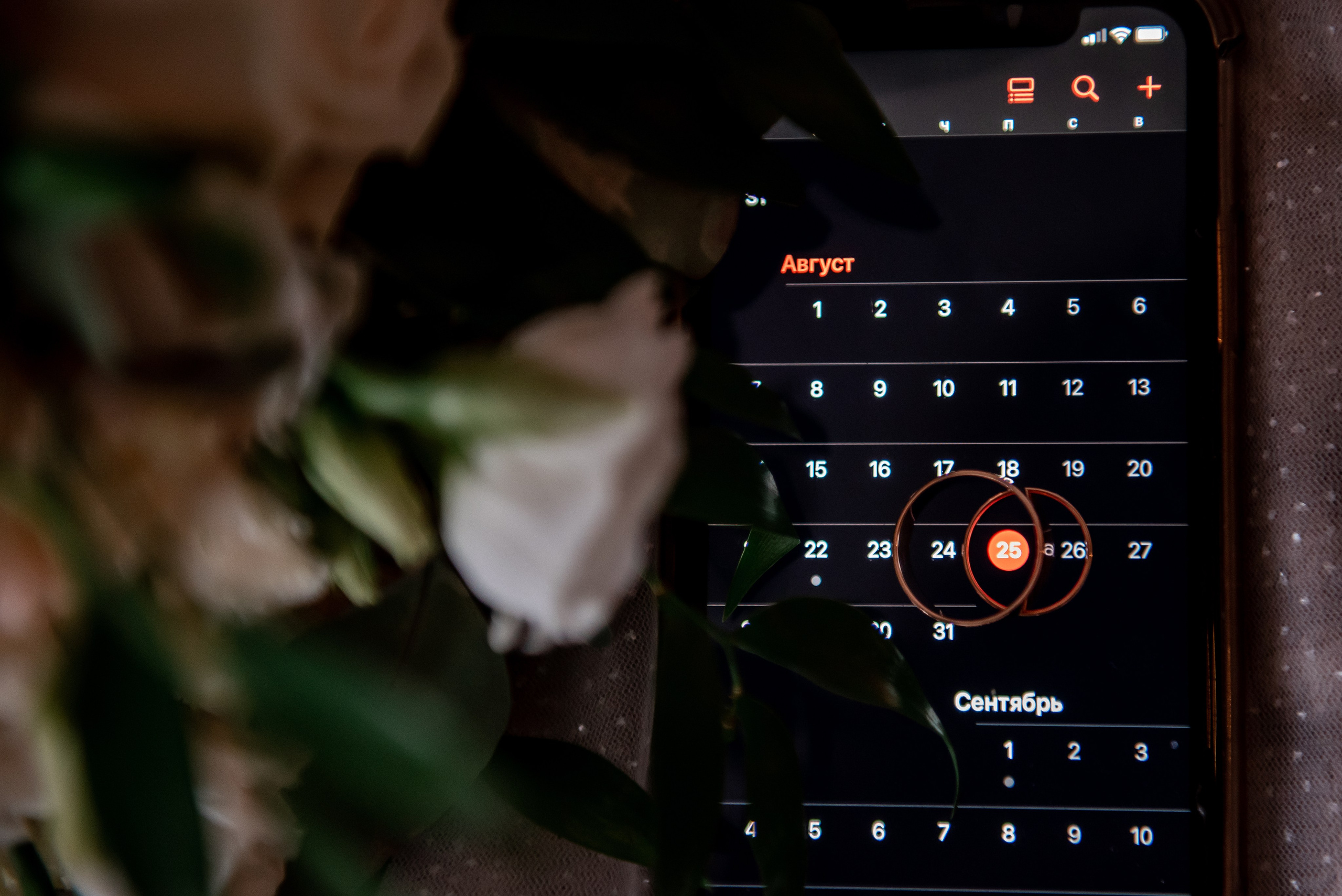 Артем и Дарья. Свадебный фотограф в Новосибирске. Александра Верхушина