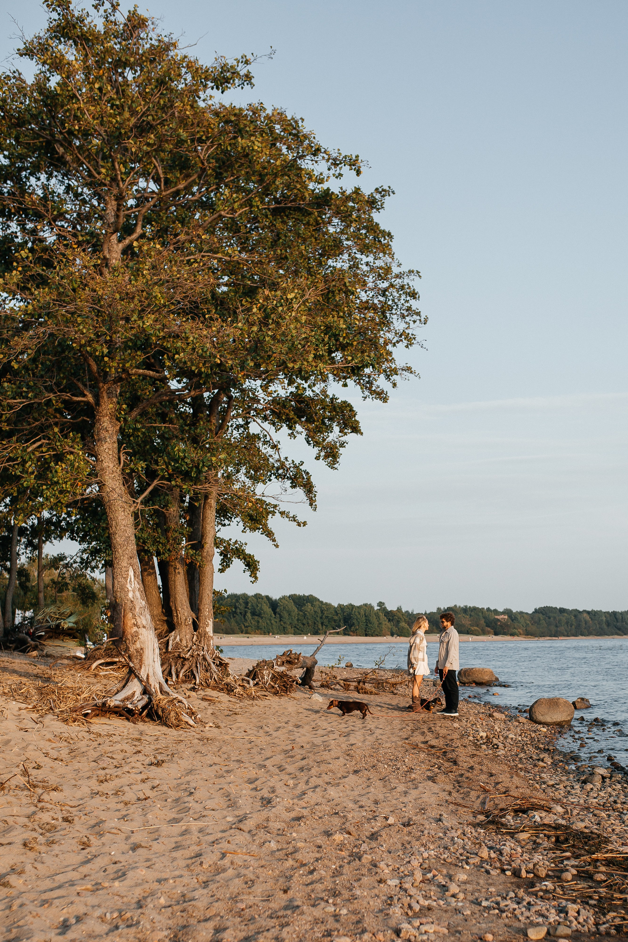 Миша и Даша