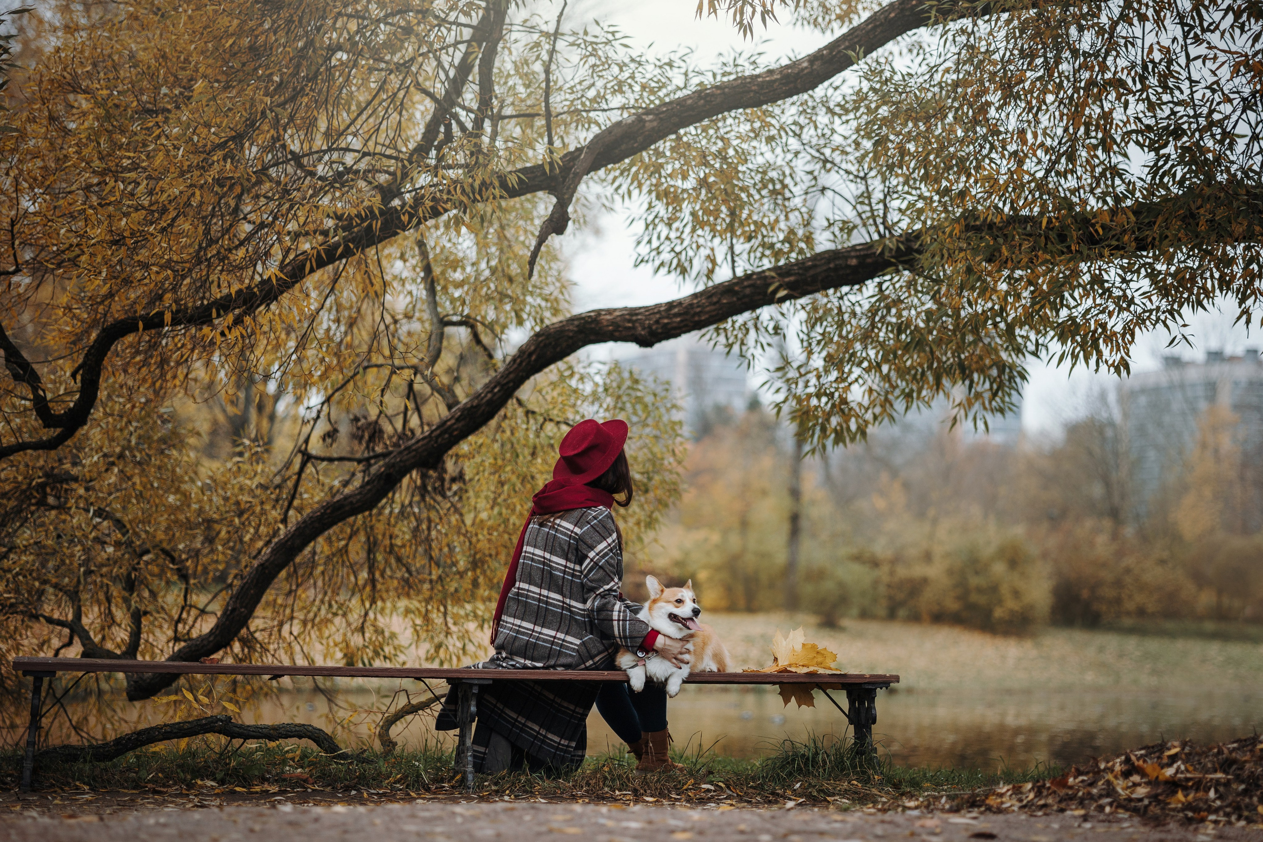 Юля и Терри. Фотограф — Анималист | Санкт-Петербург