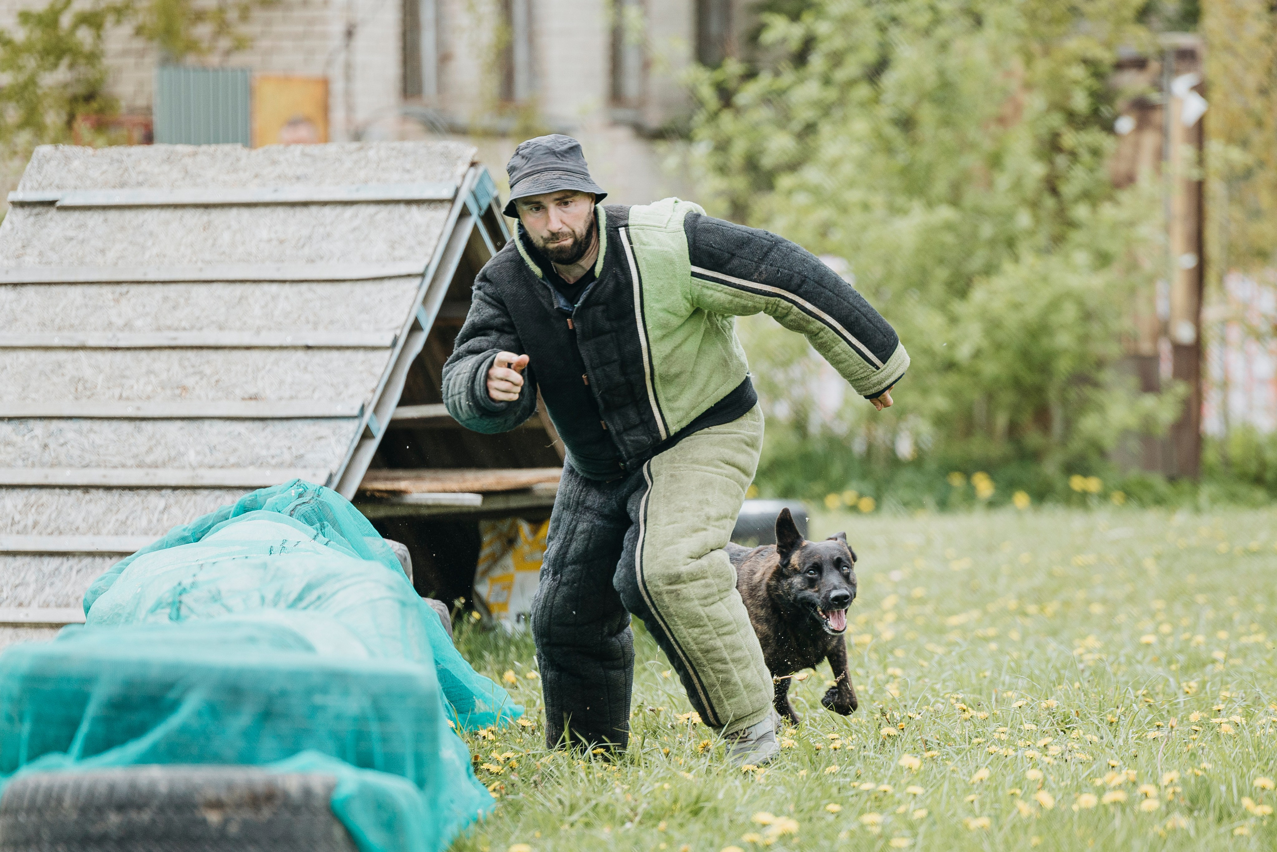 26.05.25 г. Пушкин квалификационные соревнования. Фотограф-анималист Анна Маринич