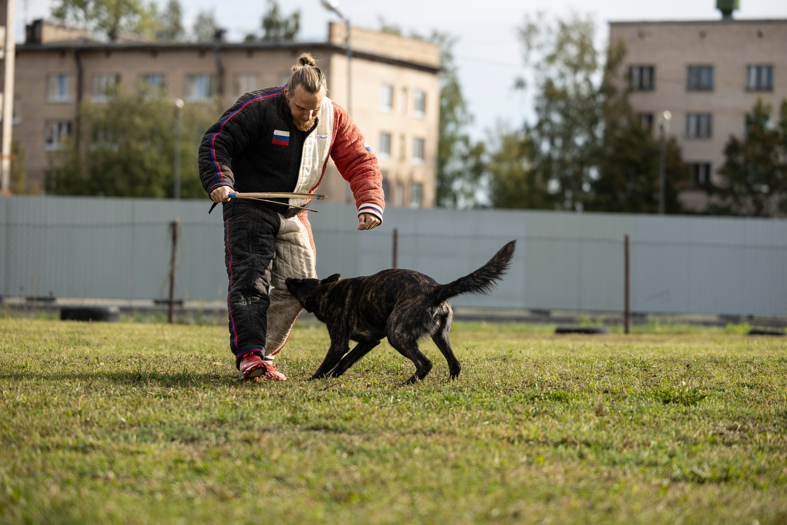 Испытания по Мондьорингу г. Пушкин. Фотограф-анималист Анна Маринич