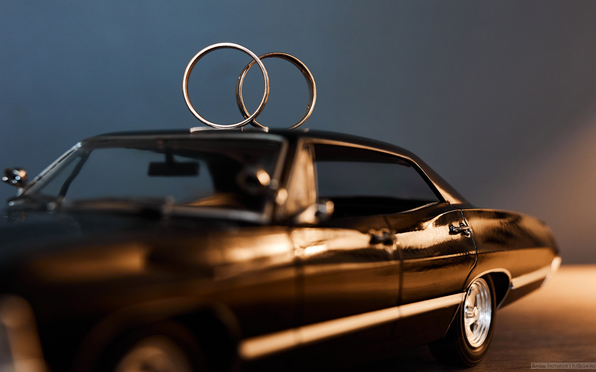 Екатерина и Леонид. Свадебная фотосъёмка в Брянске | Влад и Ирина Тютьковы