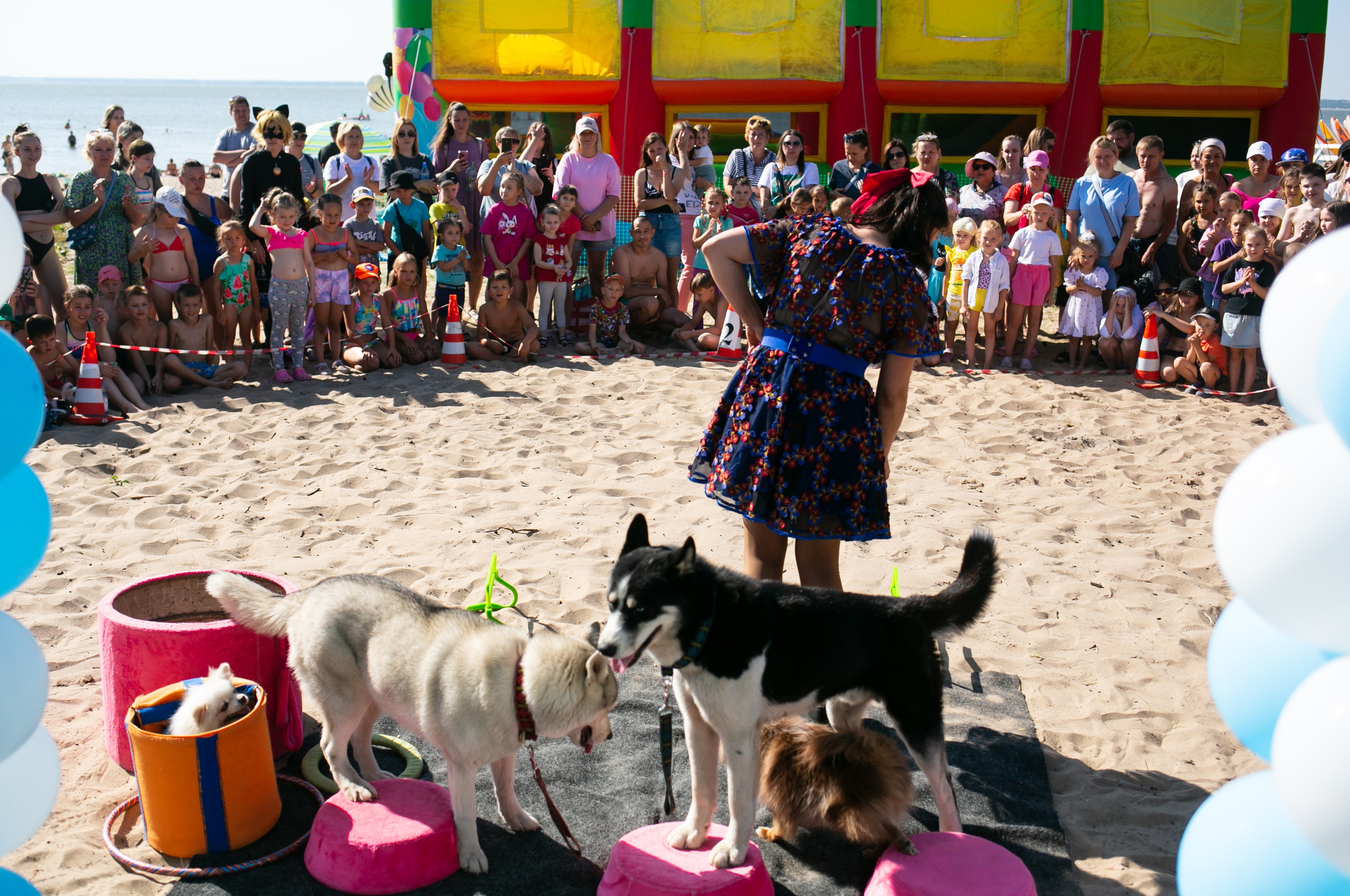 ДР Облака!. Фотограф новорожденных и семейный фотограф НСО г. Бердск Марина Львова